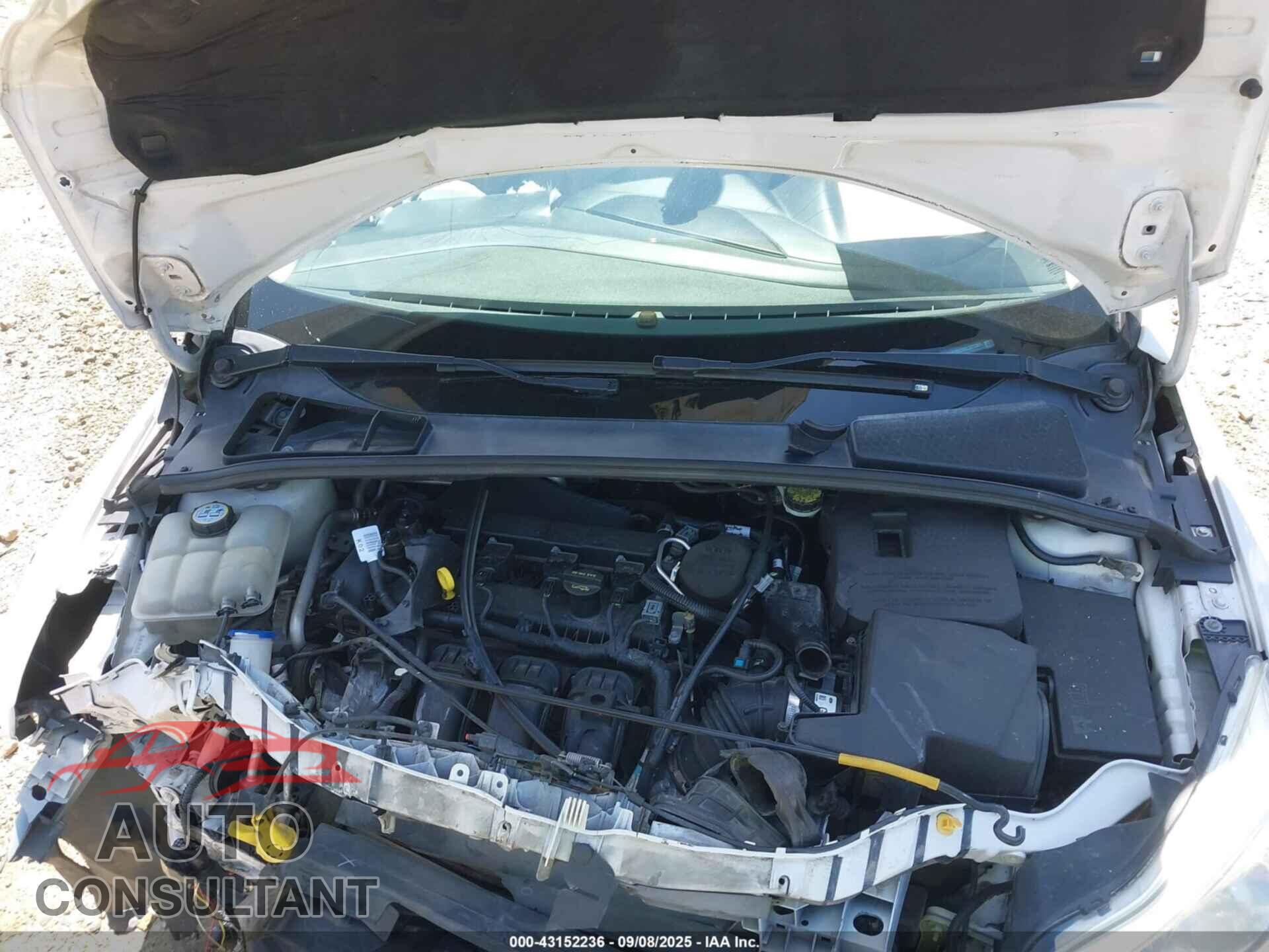 FORD FOCUS 2012 - 1FAHP3M29CL237381