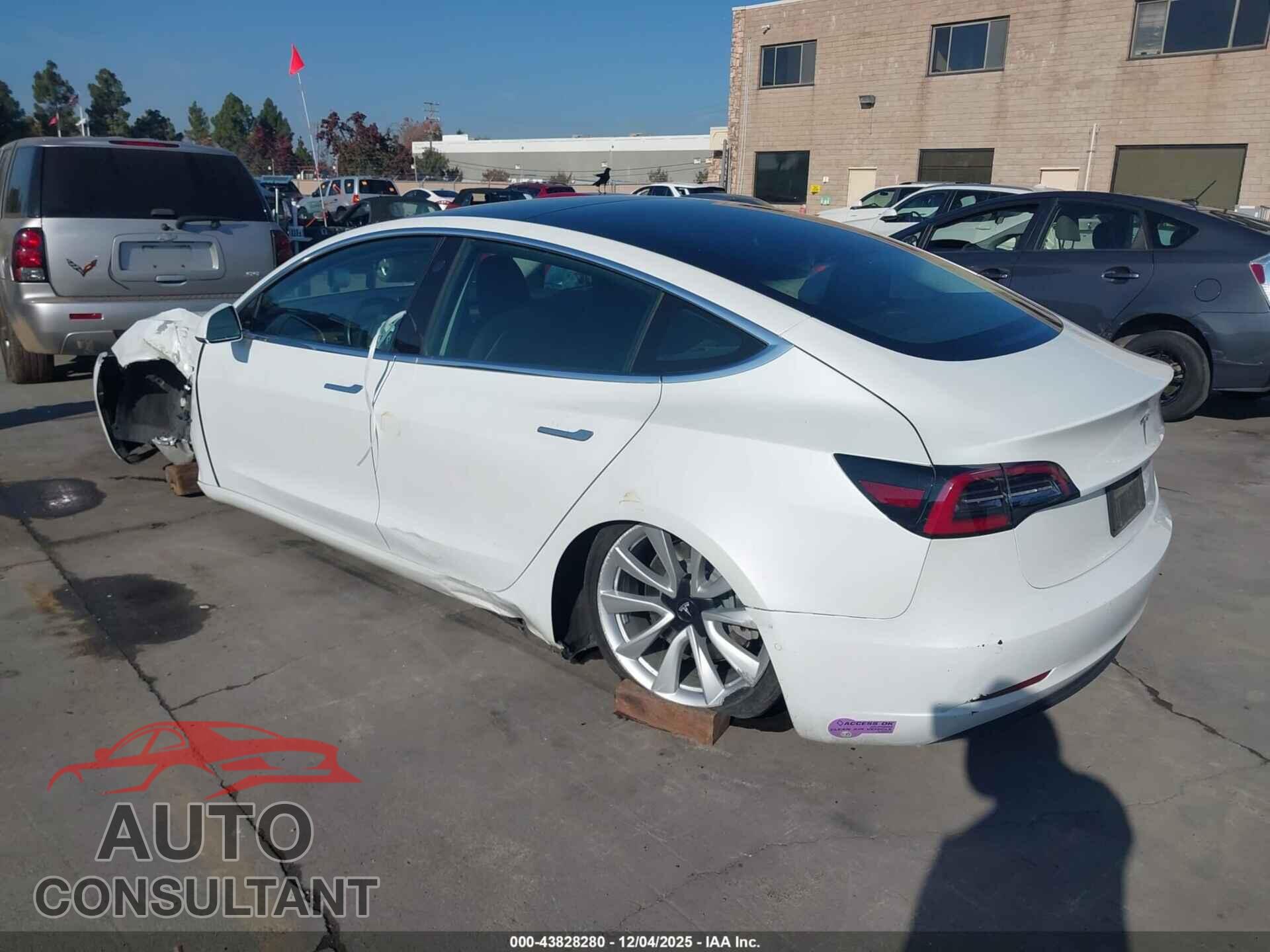 TESLA MODEL 3 2019 - 5YJ3E1EA5KF317833