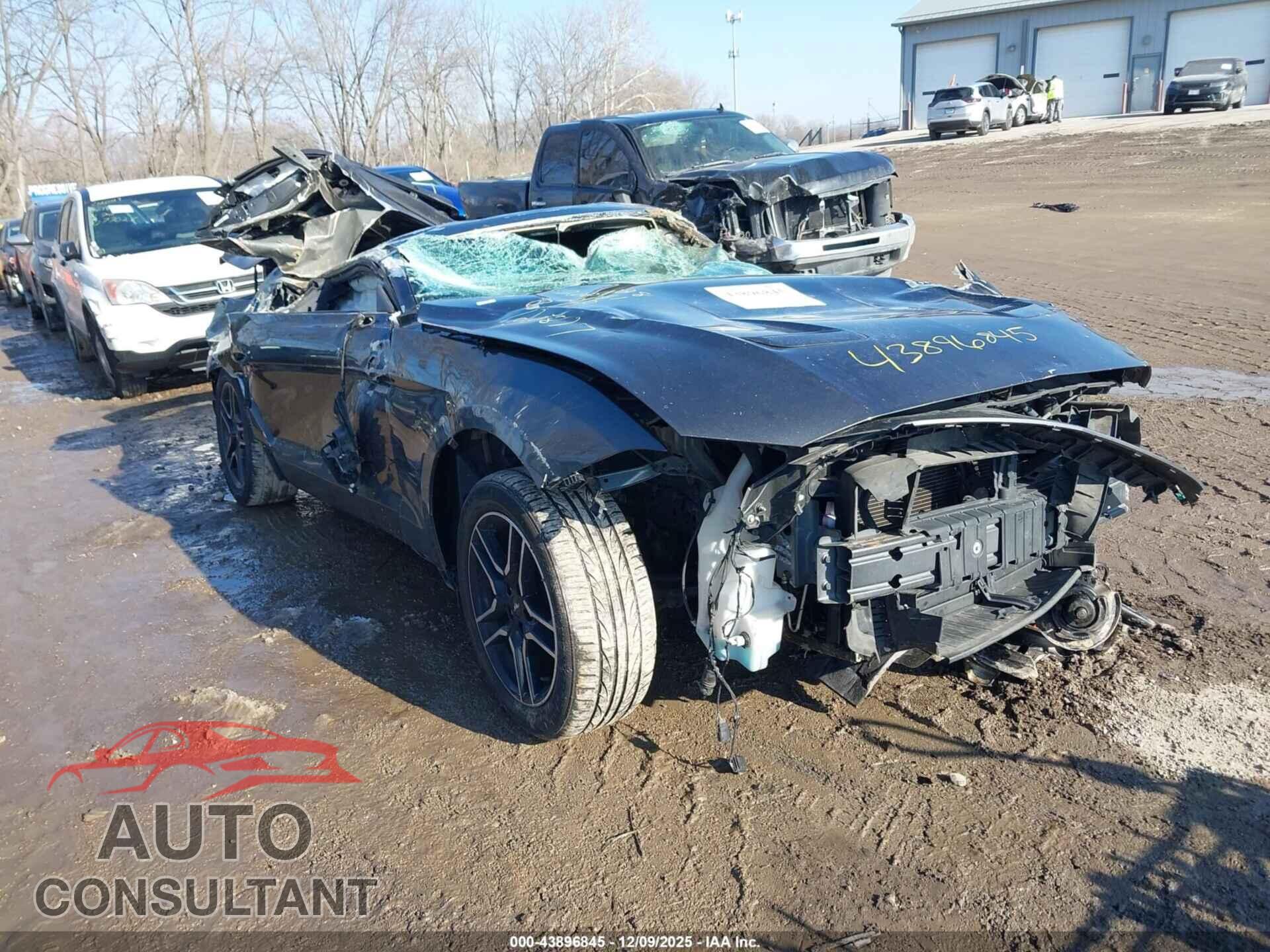 FORD MUSTANG 2020 - 1FA6P8TH7L5120817