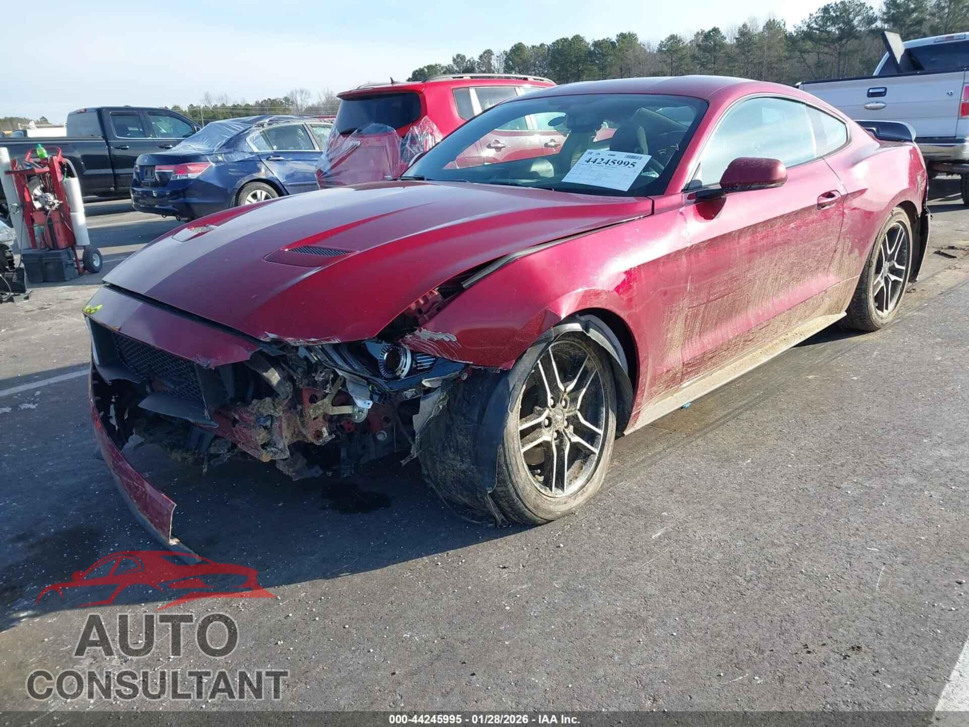FORD MUSTANG 2019 - 1FA6P8TH3K5185100