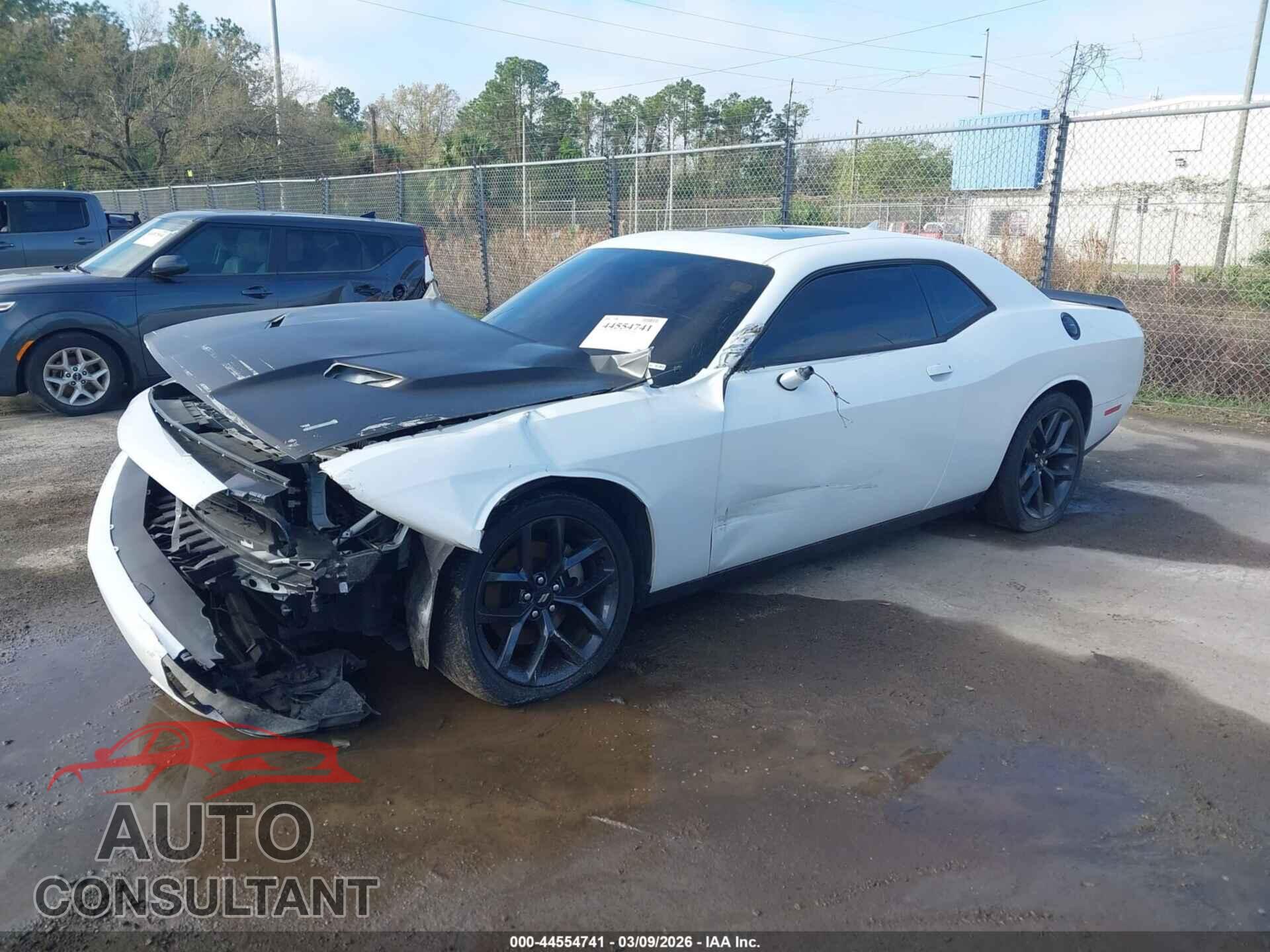 DODGE CHALLENGER 2019 - 2C3CDZAG9KH551483