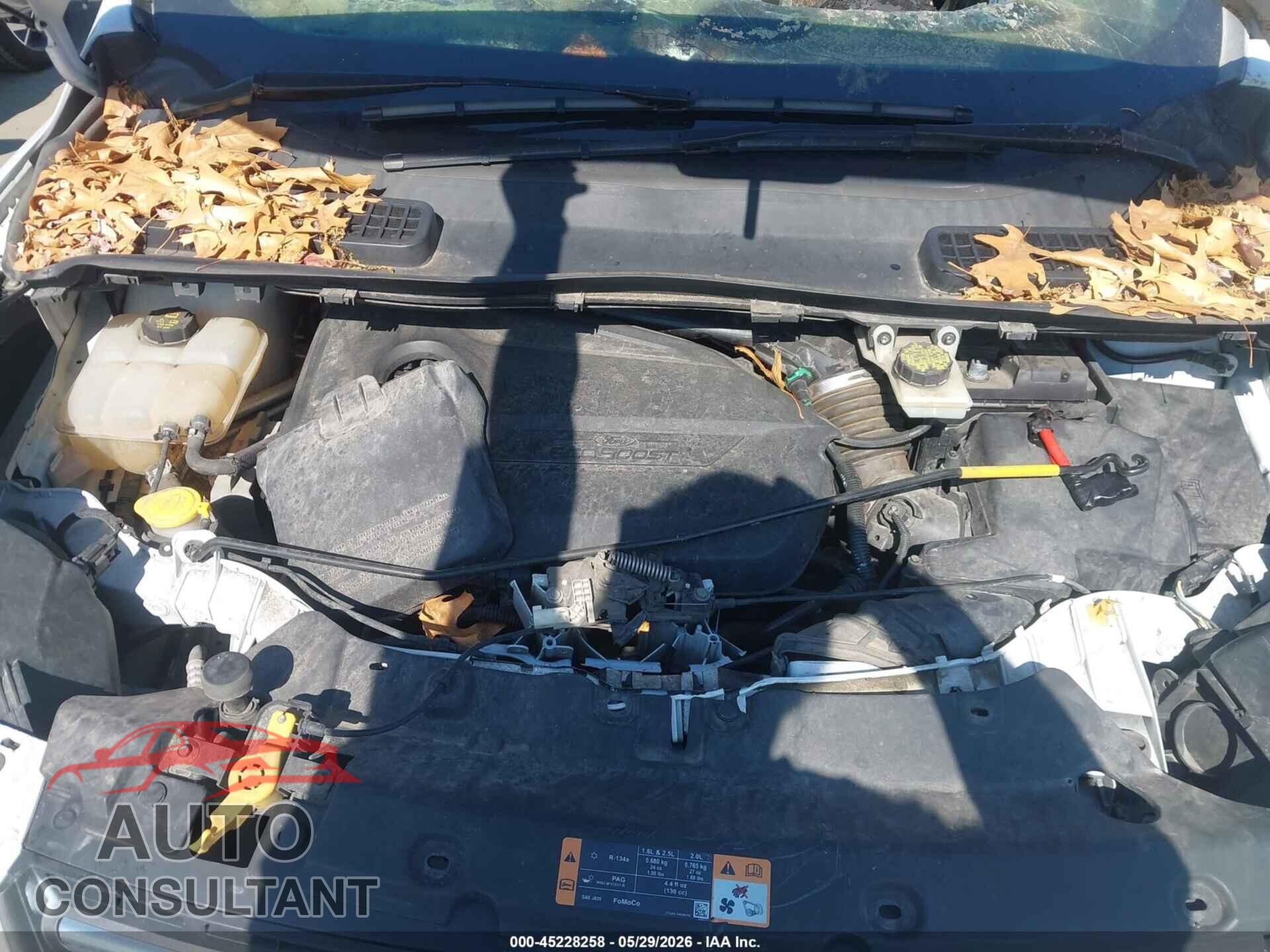 FORD ESCAPE 2014 - 1FMCU0GX2EUE37403