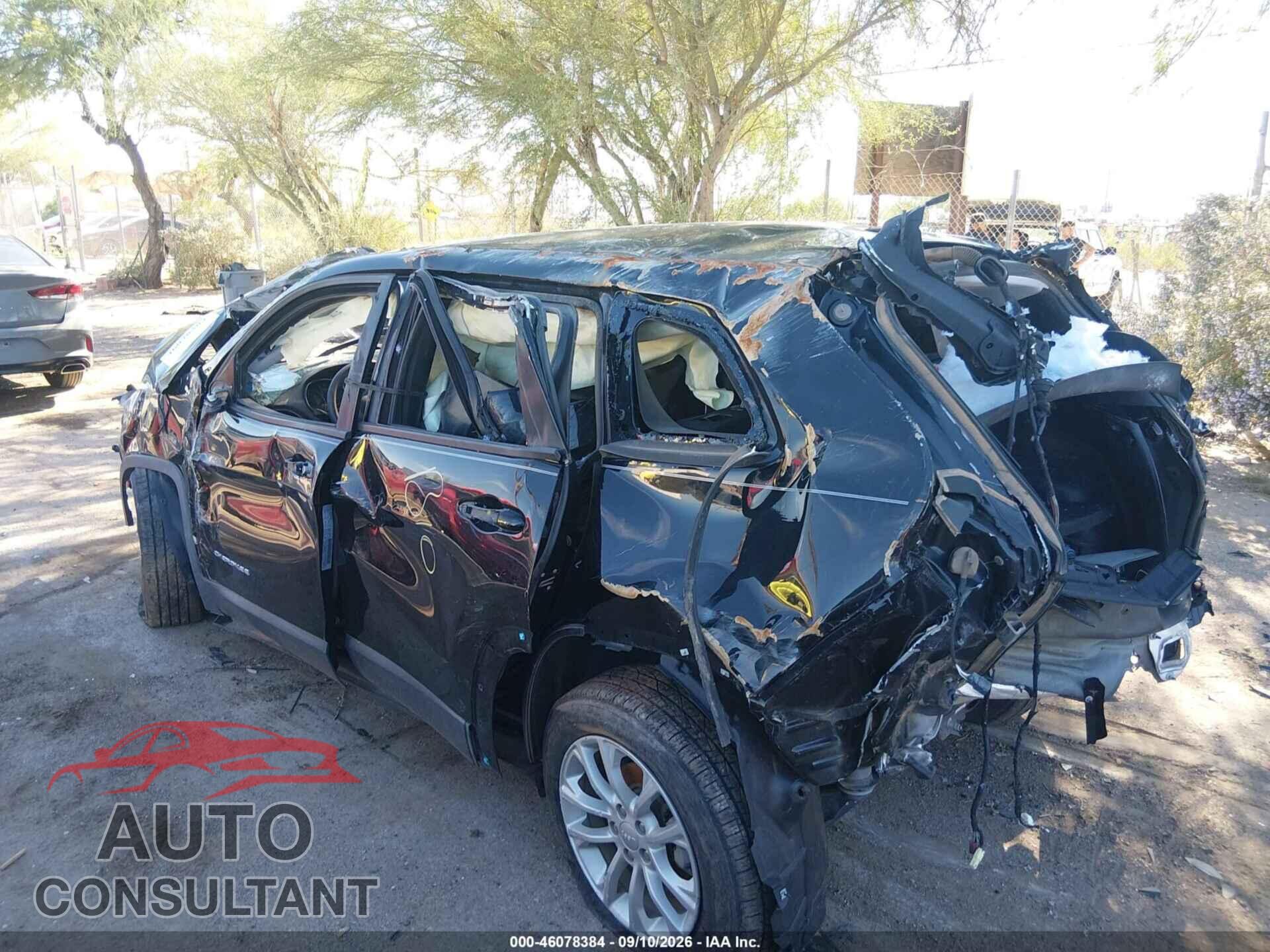 JEEP CHEROKEE 2020 - 1C4PJLCBXLD596502