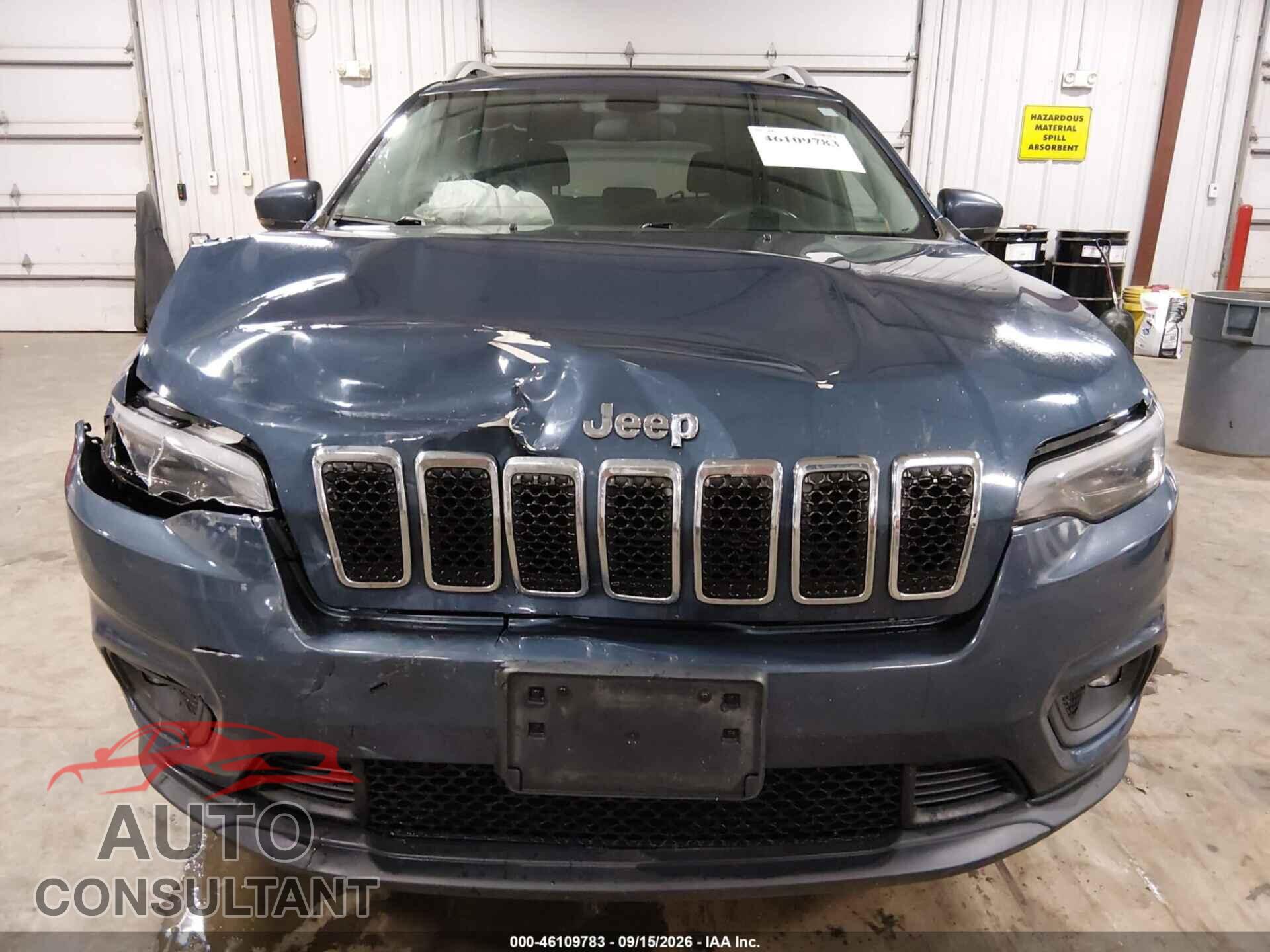 JEEP CHEROKEE 2019 - 1C4PJMLX2KD361804