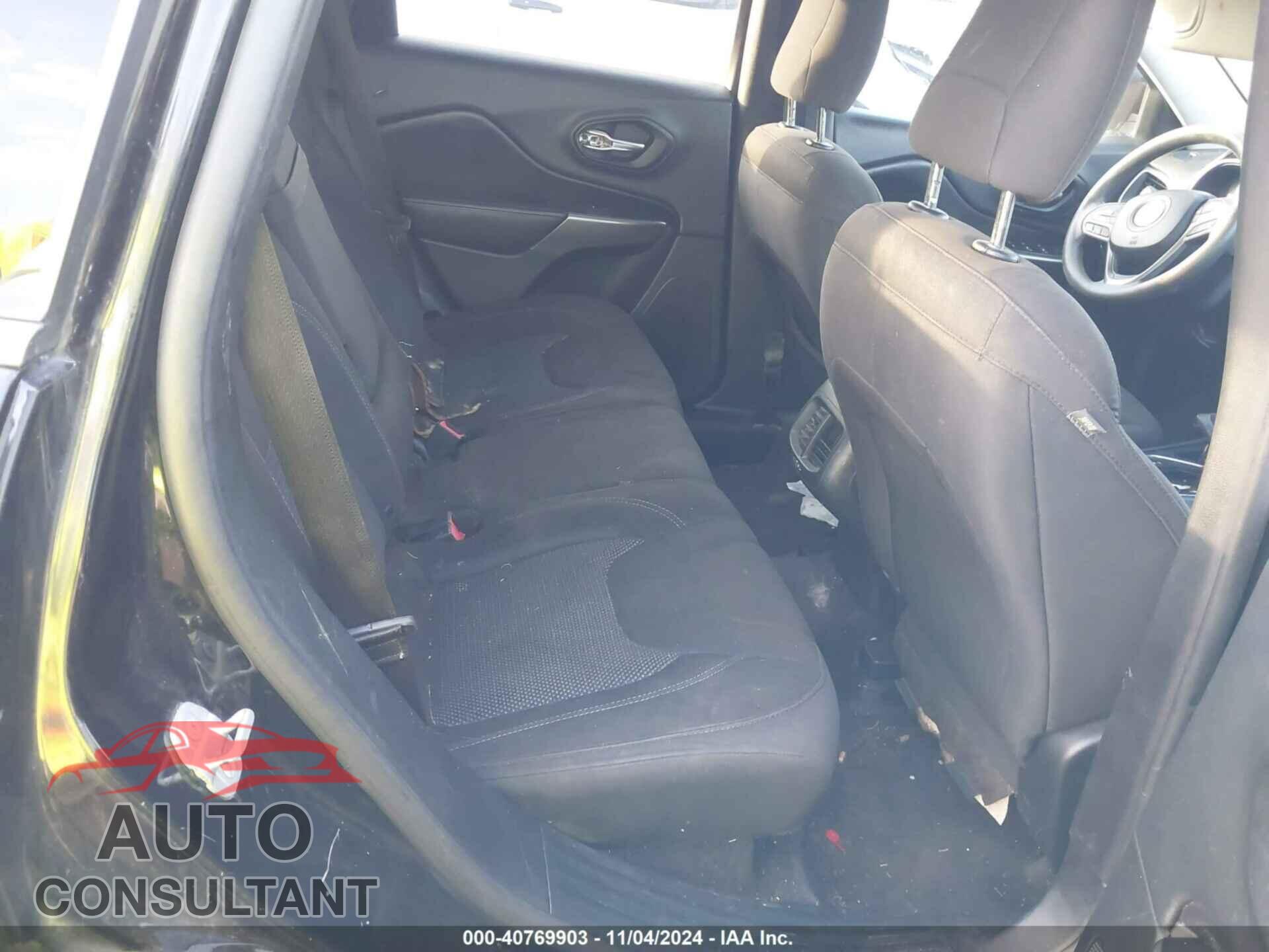 JEEP CHEROKEE 2019 - 1C4PJLCB2KD203655