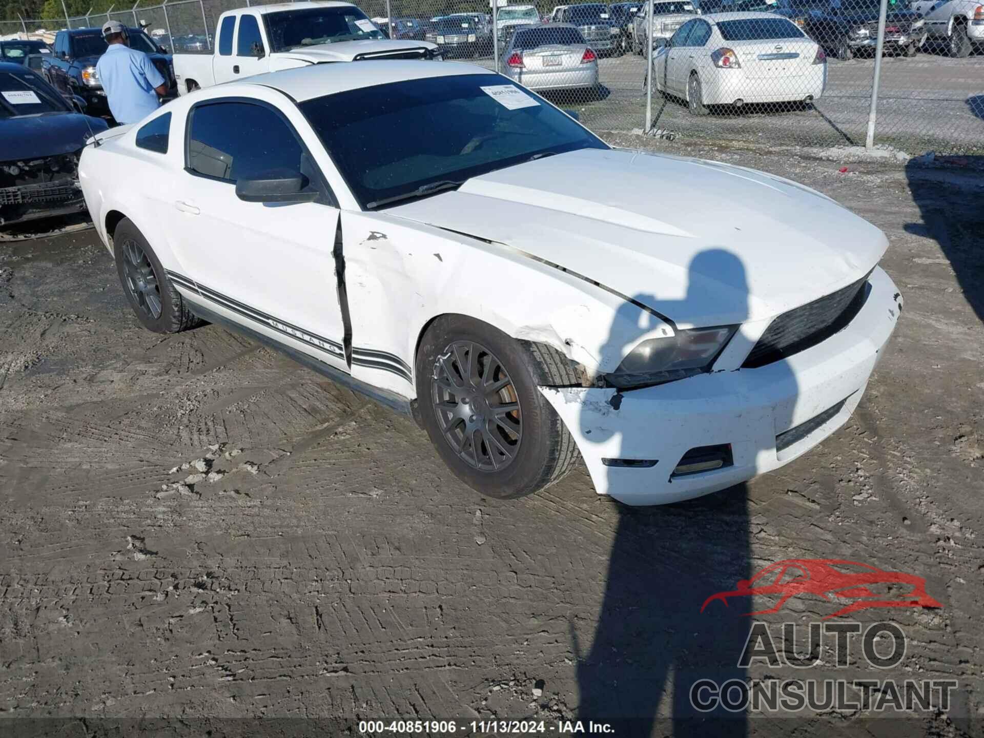 FORD MUSTANG 2011 - 1ZVBP8AM8B5155399