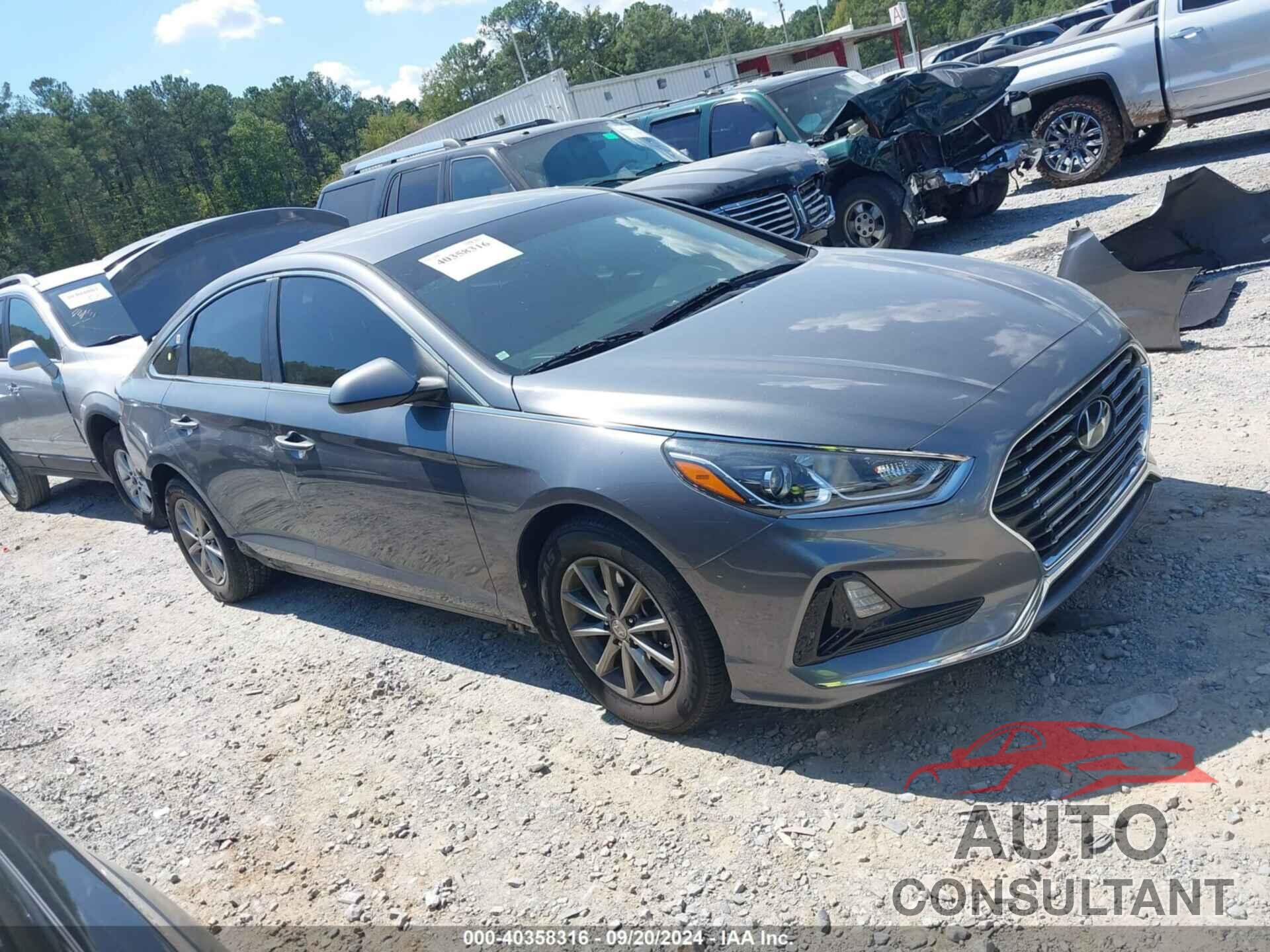 HYUNDAI SONATA 2019 - 5NPE24AF4KH739257