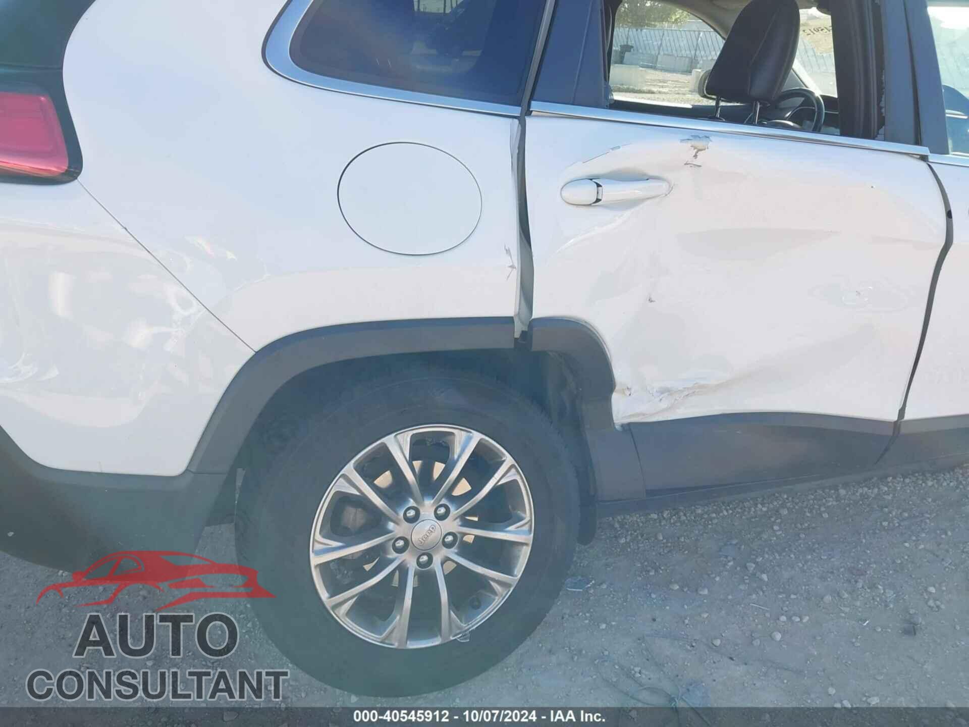 JEEP CHEROKEE 2019 - 1C4PJLLB2KD173623