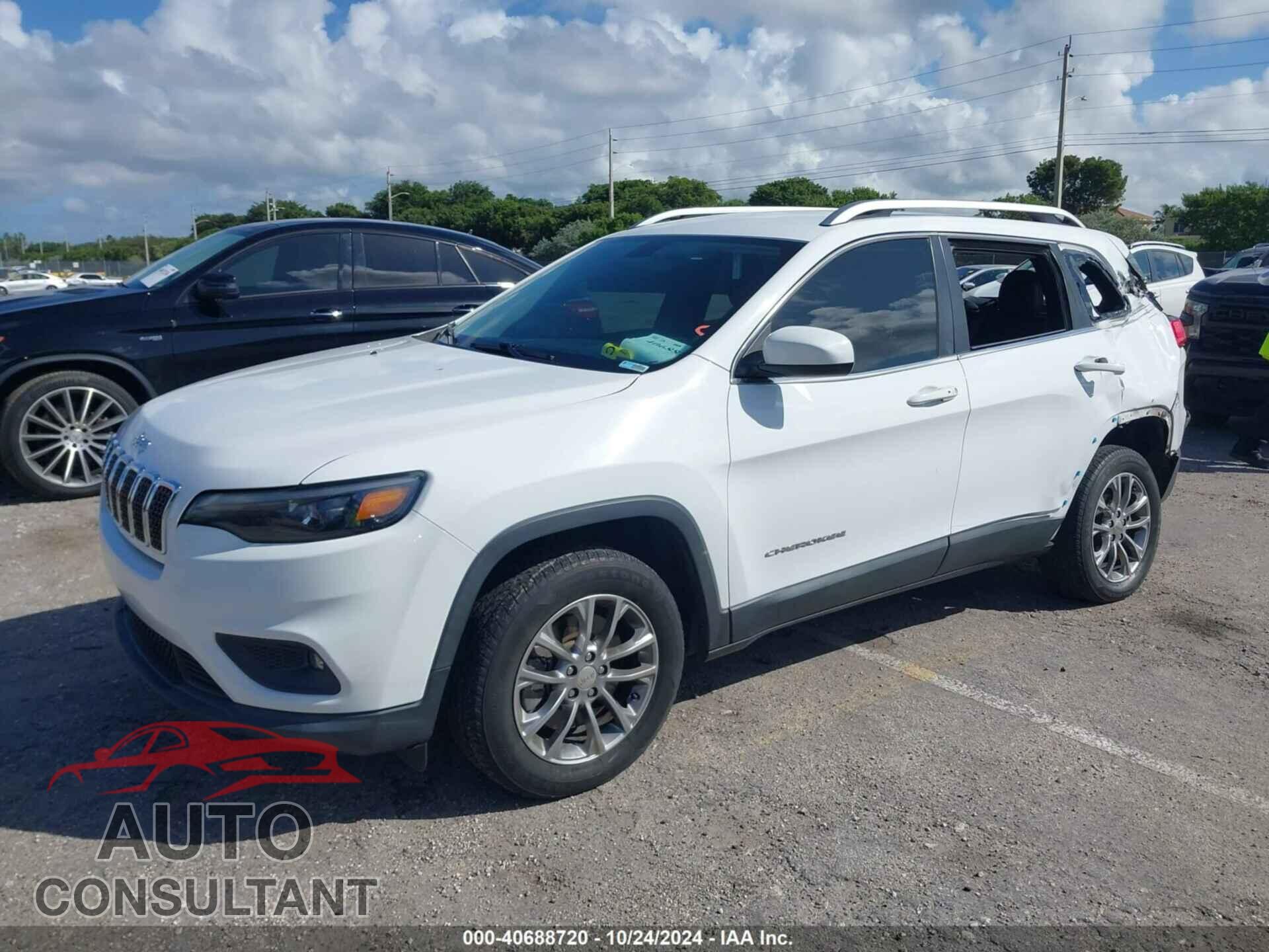 JEEP CHEROKEE 2019 - 1C4PJLLB3KD202031
