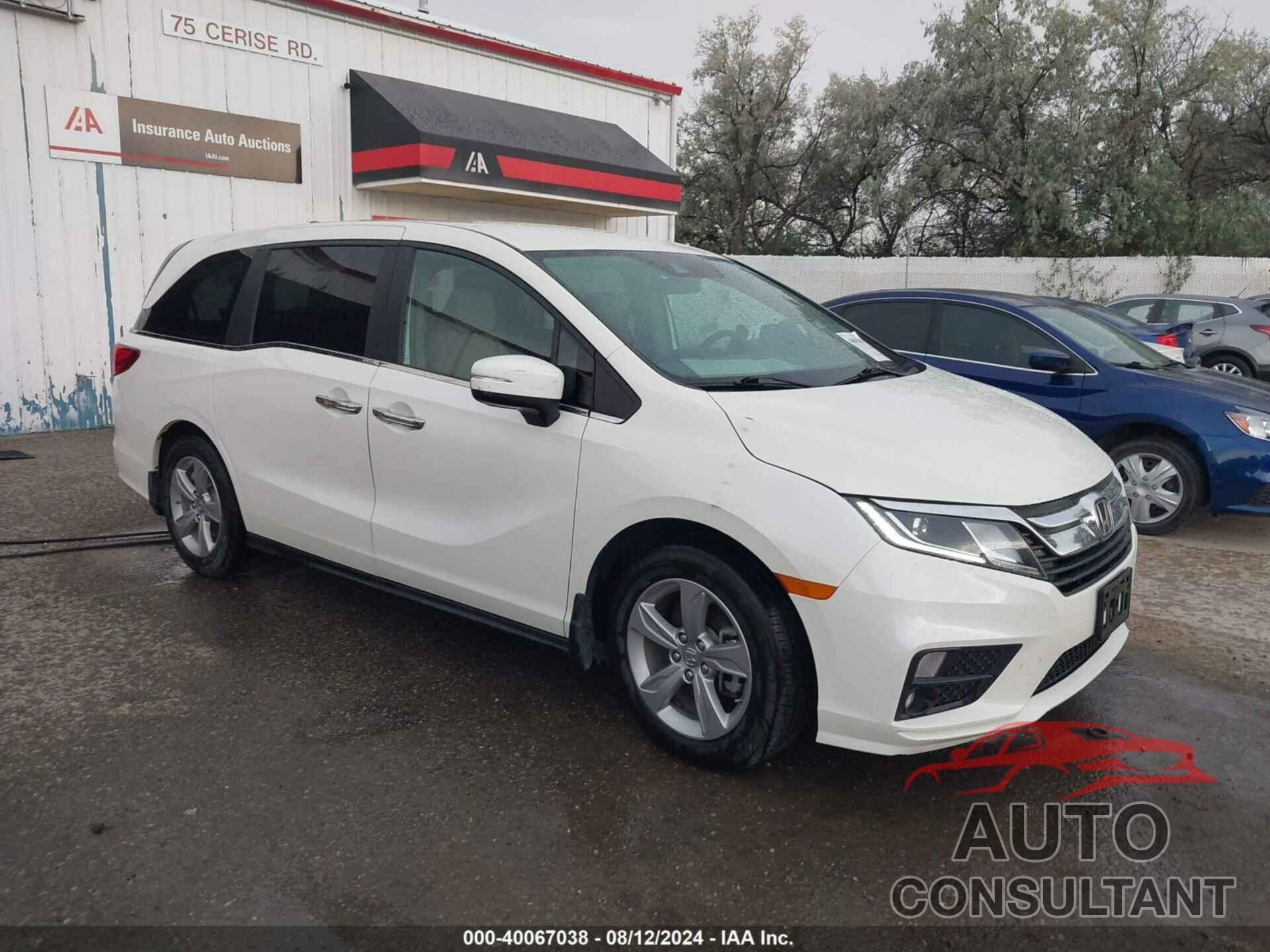 HONDA ODYSSEY 2019 - 5FNRL6H50KB121326