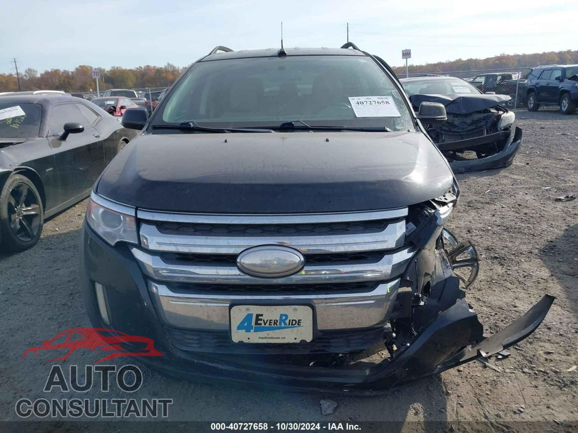 FORD EDGE 2013 - 2FMDK4JC4DBB89151