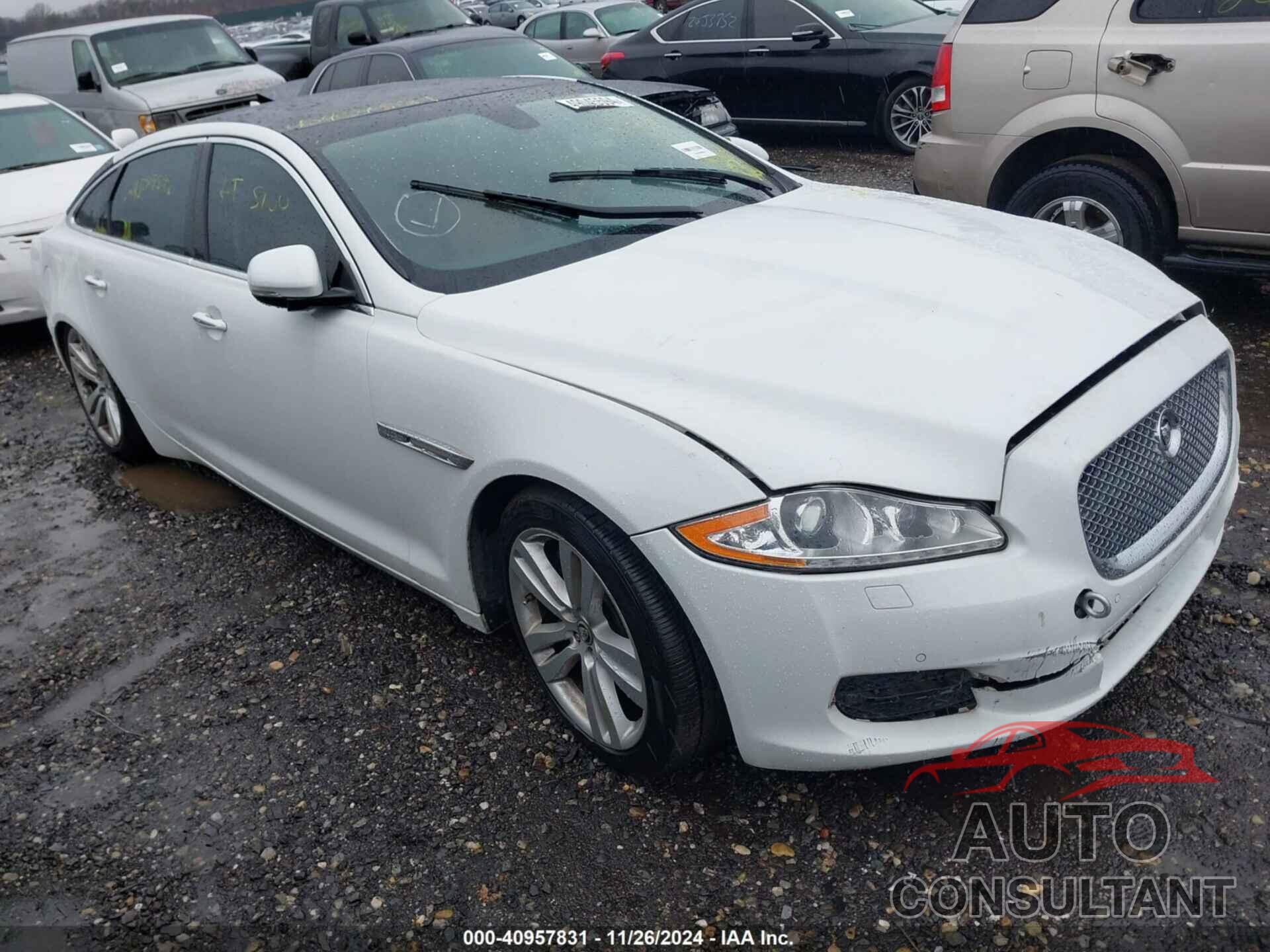 JAGUAR XJ 2013 - SAJWJ2GD7D8V47707