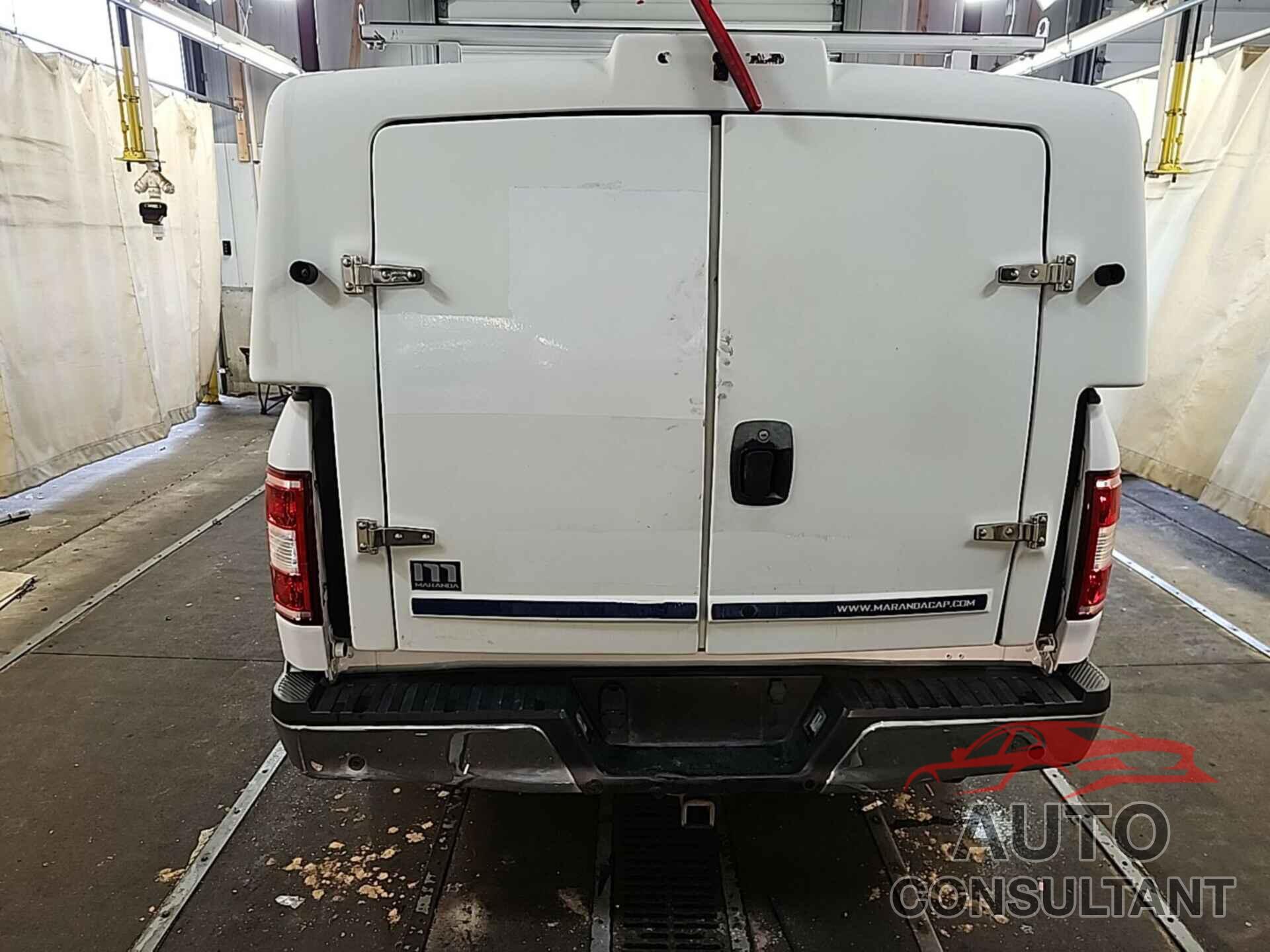 FORD F150 2019 - 1FTFX1C46KKC43670