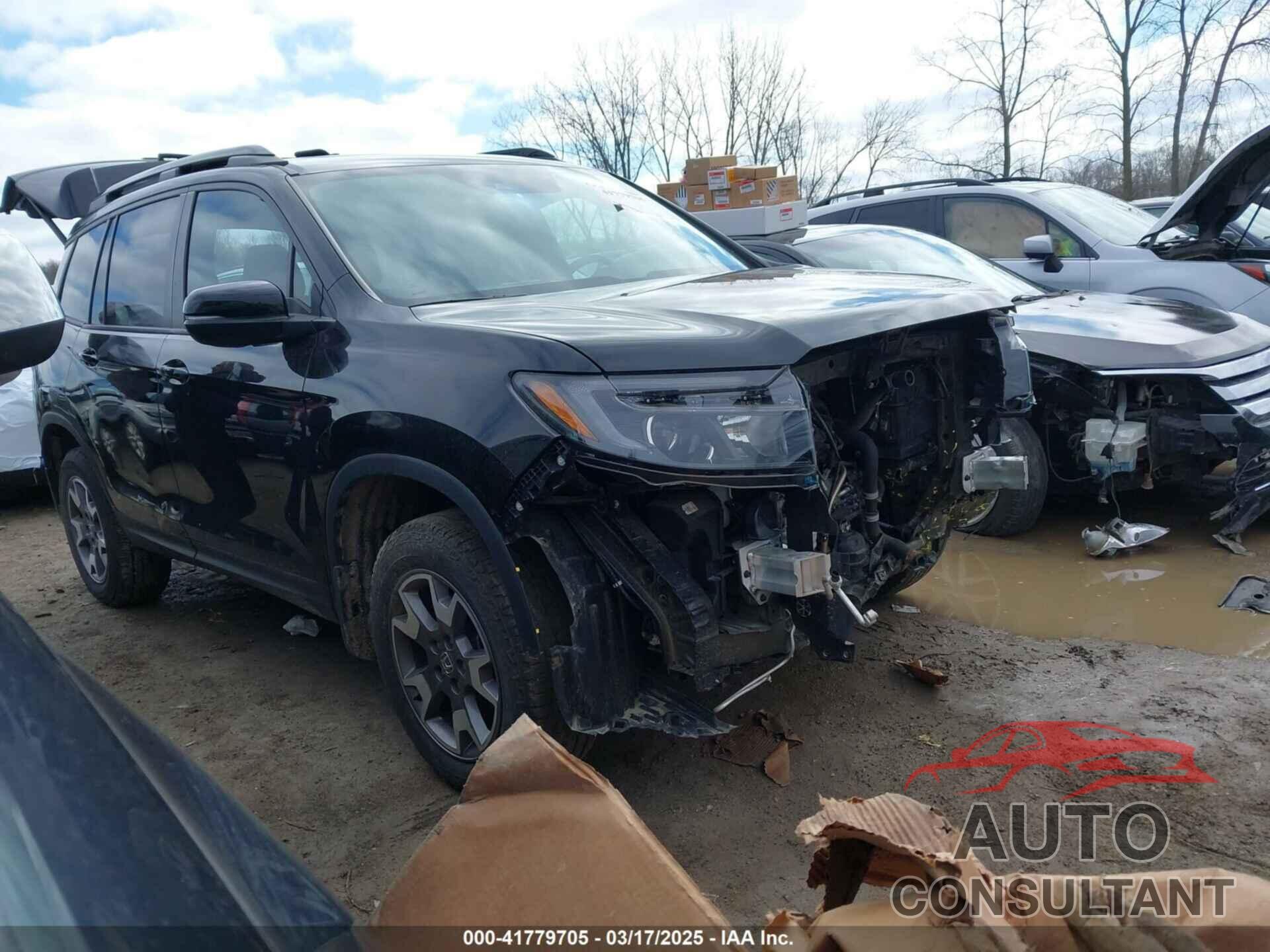 HONDA PASSPORT 2022 - 5FNYF8H60NB011632