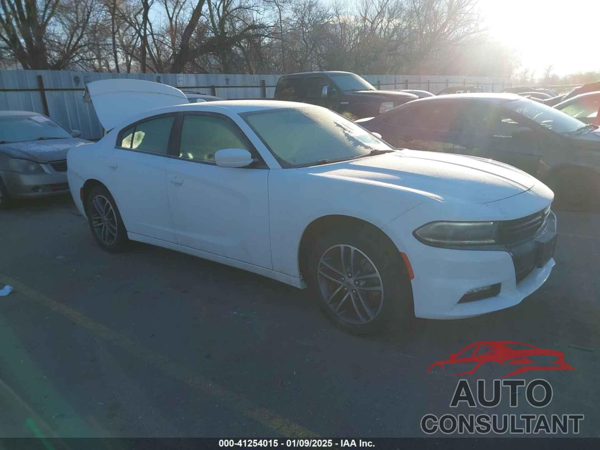DODGE CHARGER 2019 - 2C3CDXJG7KH697353
