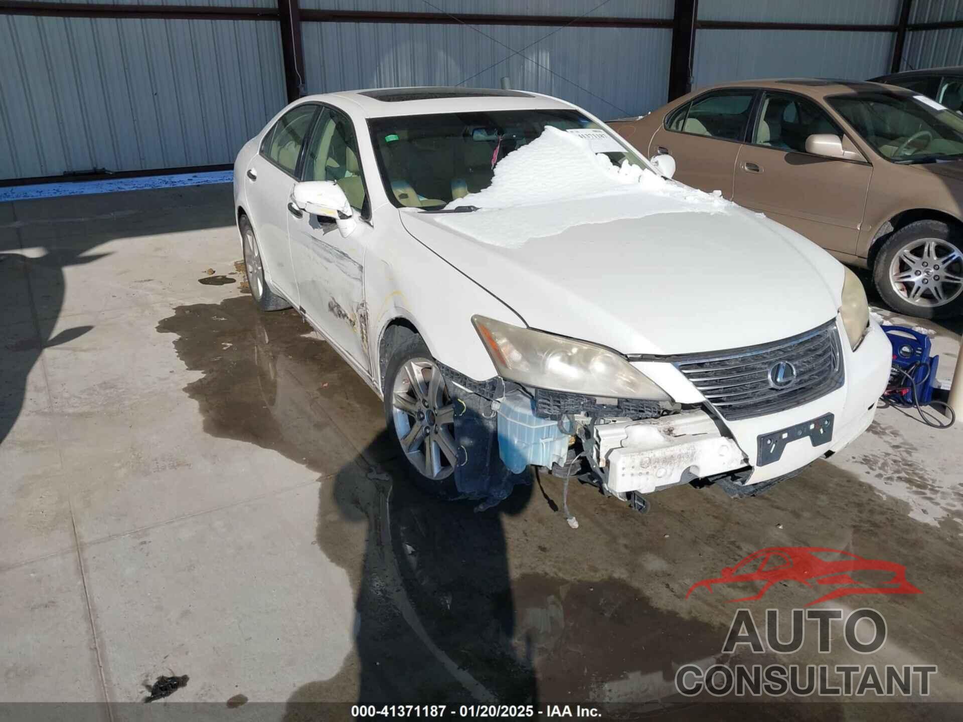 LEXUS ES 350 2009 - JTHBJ46G392330264