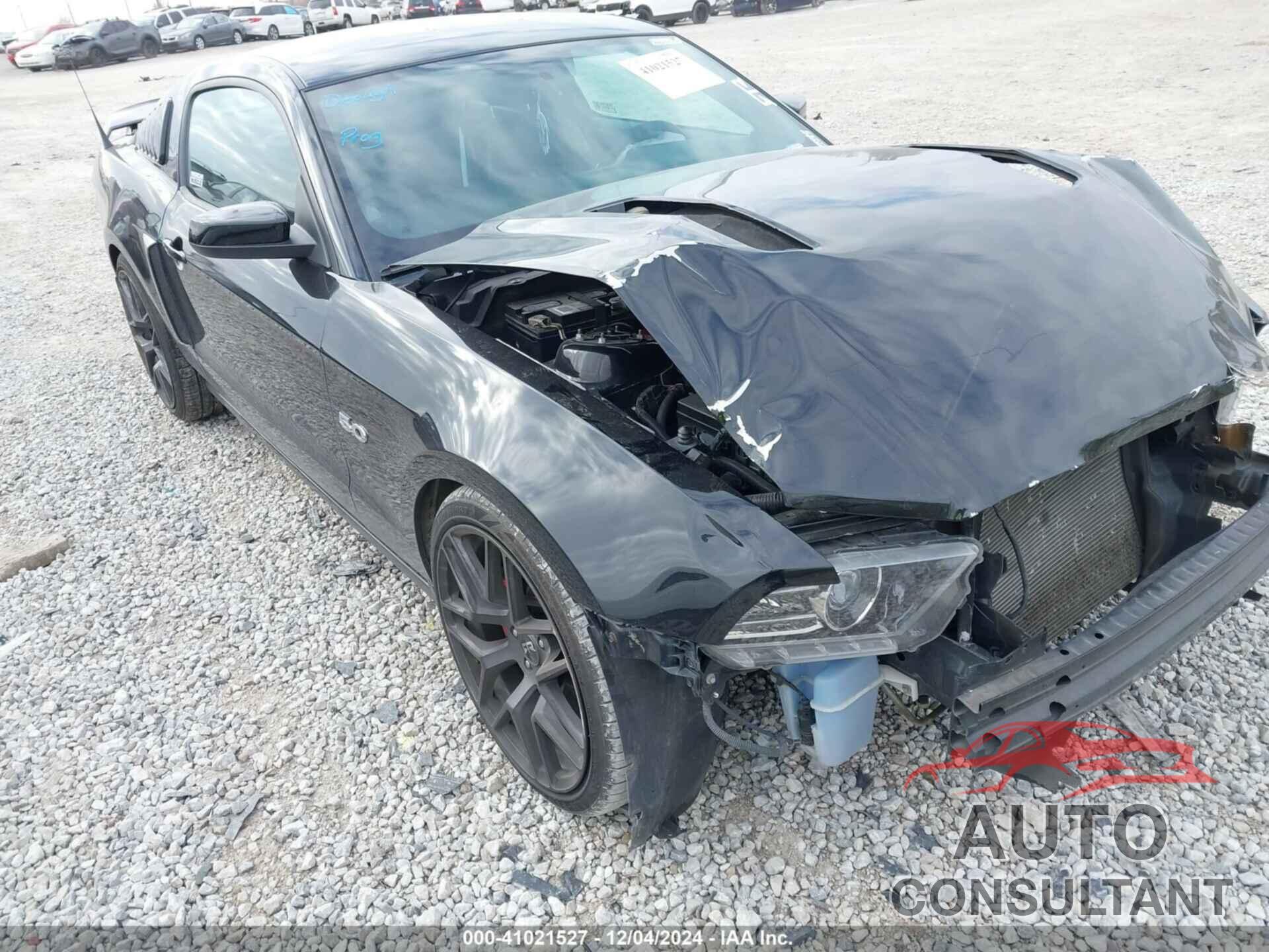 FORD MUSTANG 2013 - 1ZVBP8CF9D5233318