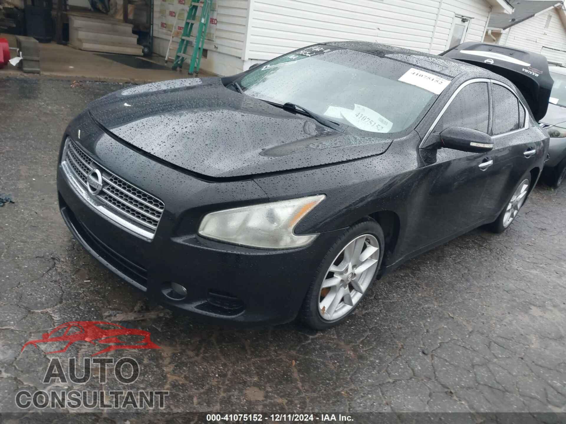 NISSAN MAXIMA 2011 - 1N4AA5AP1BC840189