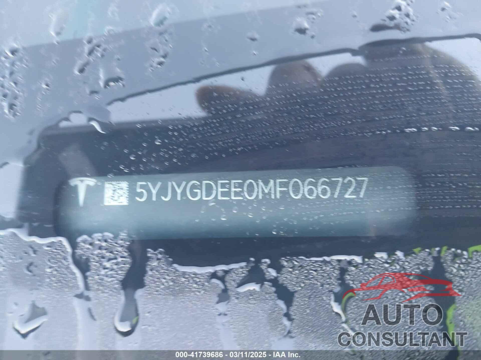 TESLA MODEL Y 2021 - 5YJYGDEE0MF066727