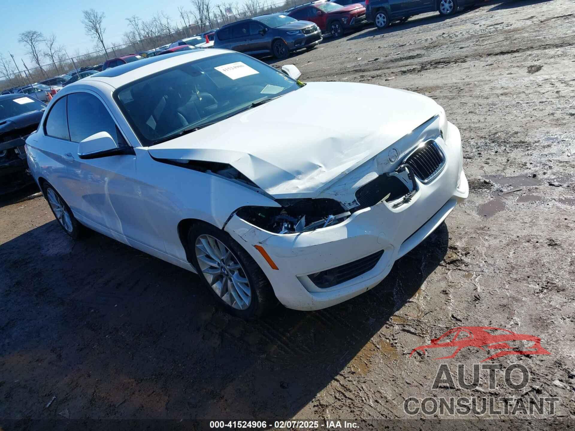 BMW 228I 2014 - WBA1F5C50EVV99223
