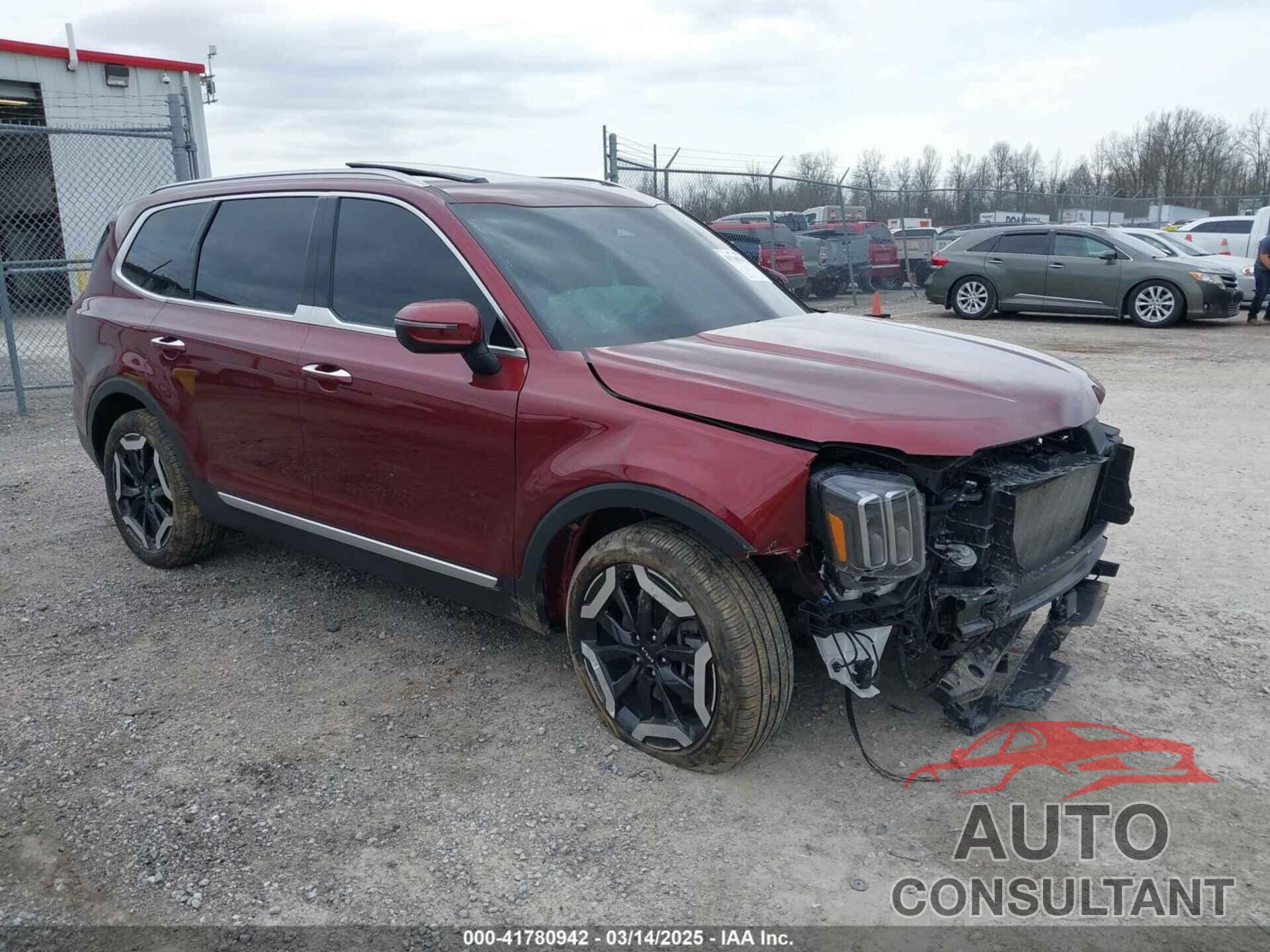 KIA TELLURIDE 2024 - 5XYP6DGC9RG412879
