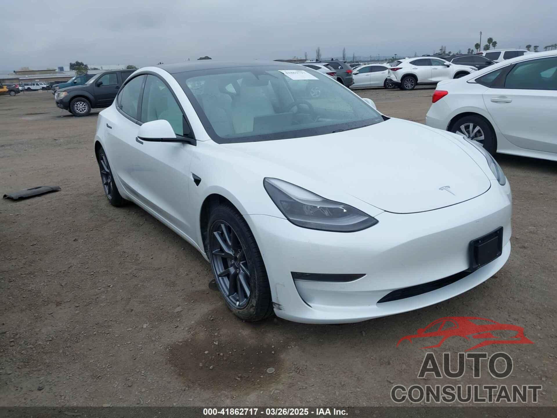TESLA MODEL 3 2021 - 5YJ3E1EA8MF029419
