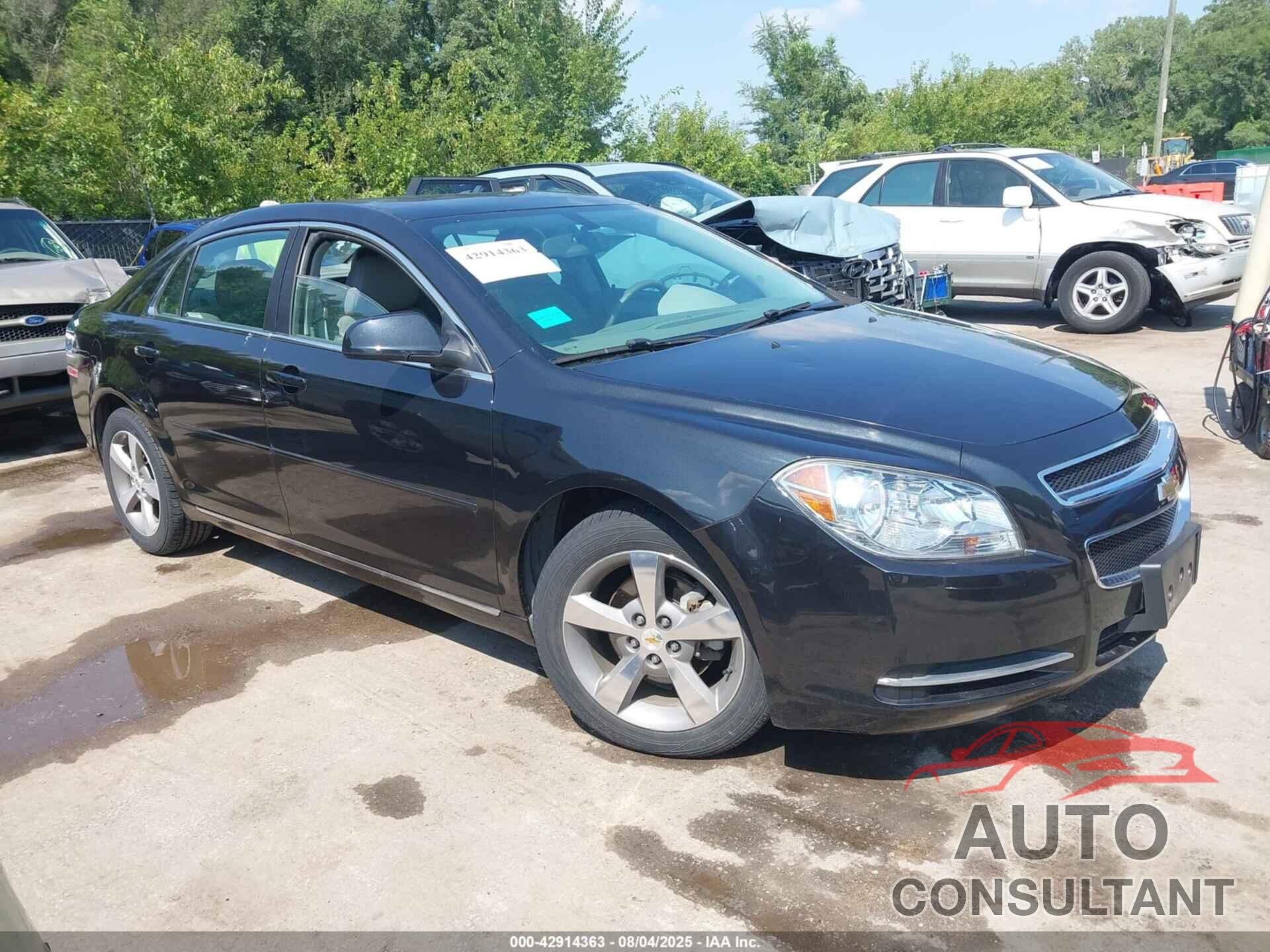 CHEVROLET MALIBU 2011 - 1G1ZC5E14BF316071