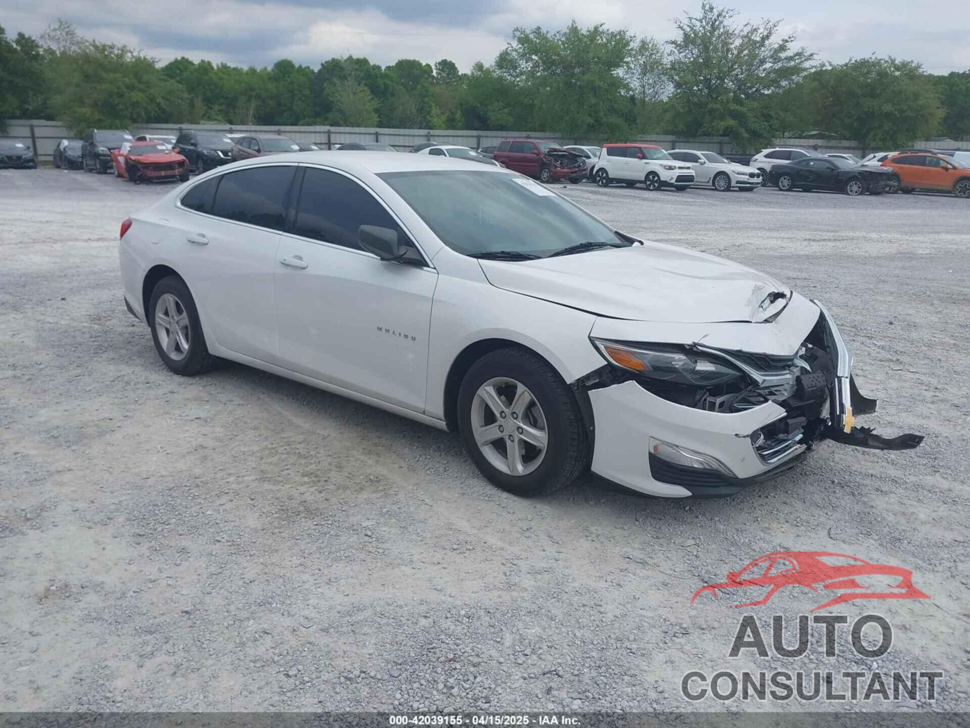 CHEVROLET MALIBU 2019 - 1G1ZC5ST6KF168222