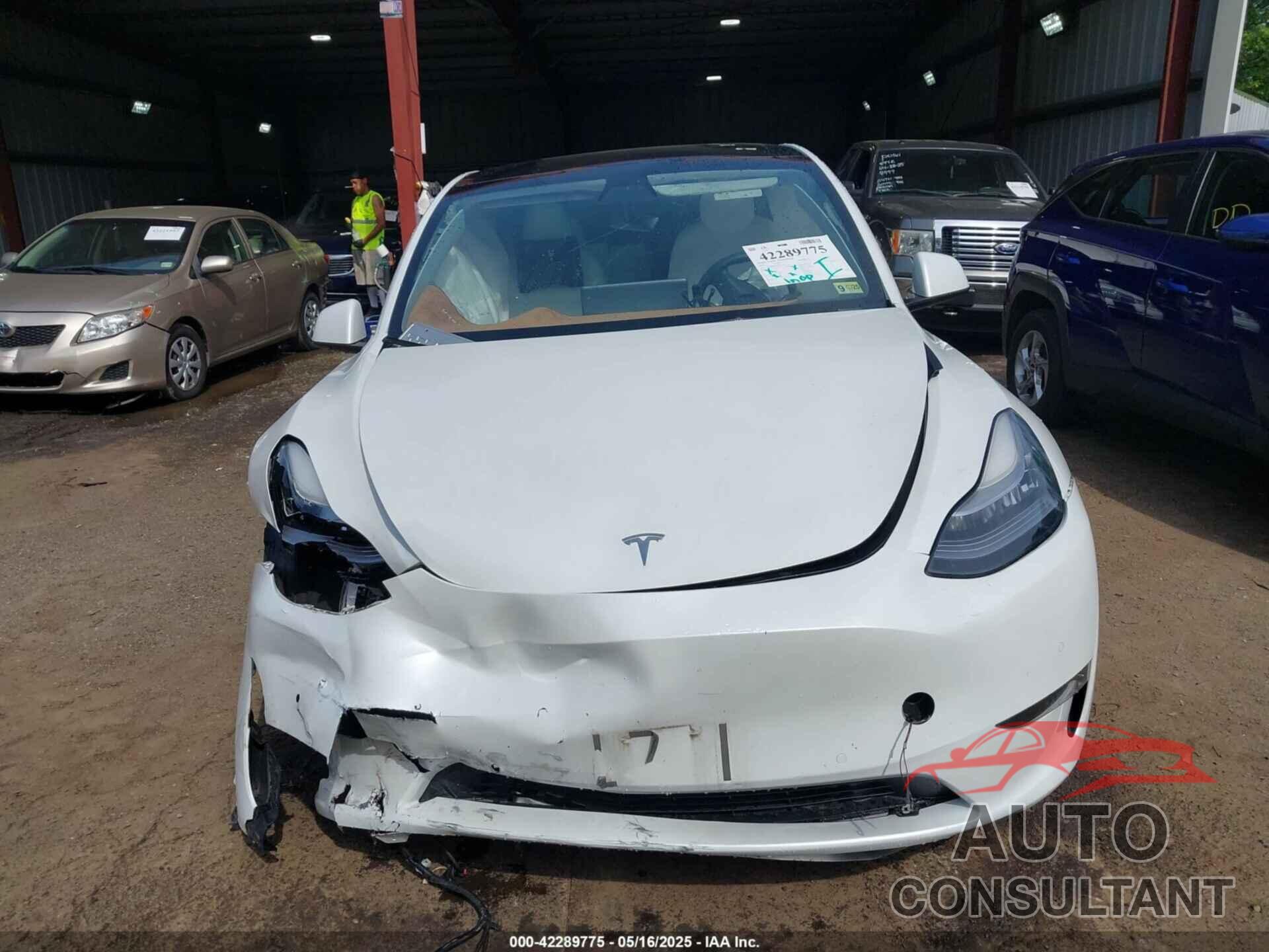 TESLA MODEL Y 2021 - 5YJYGAED8MF173496