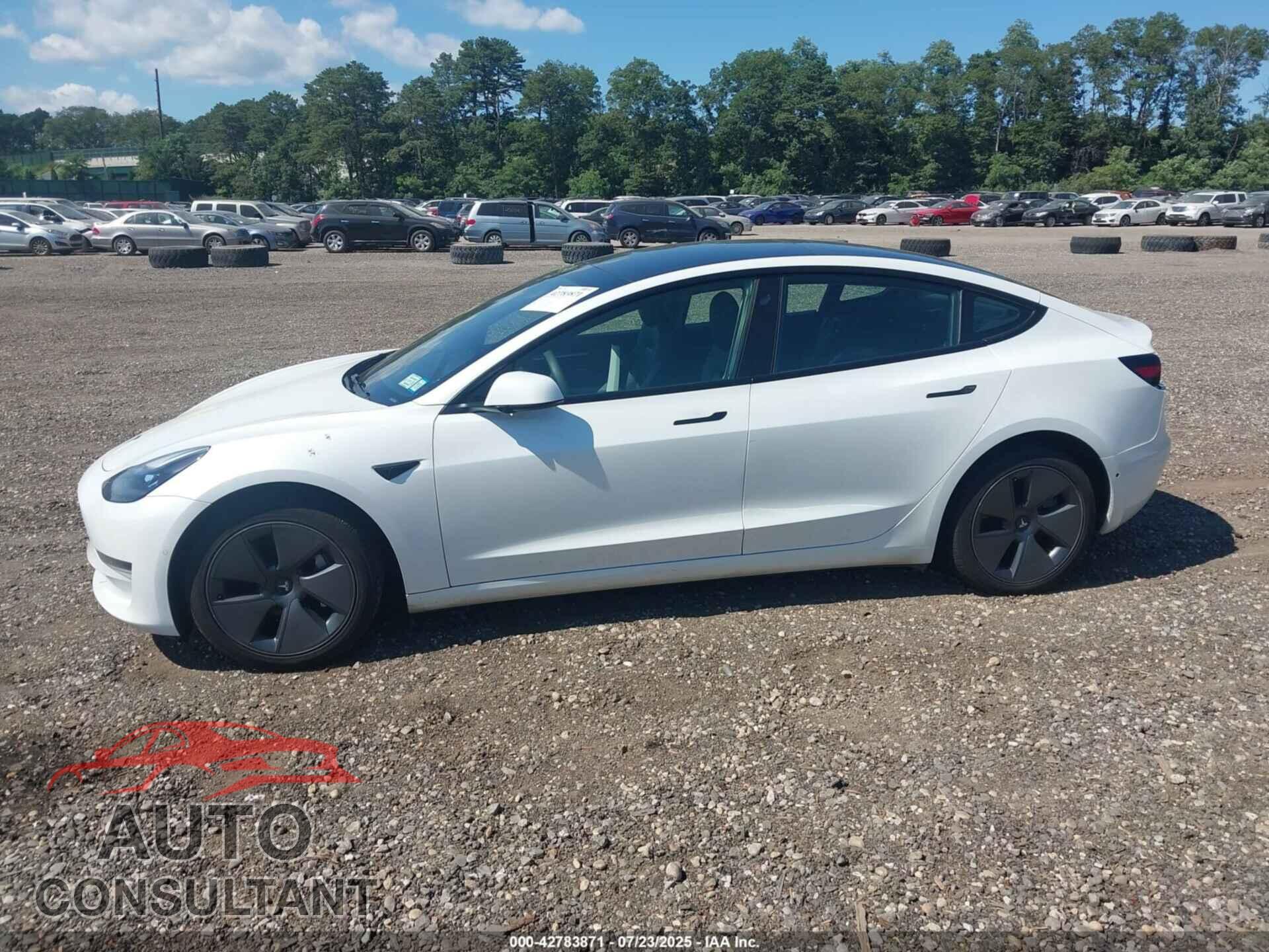 TESLA MODEL 3 2021 - 5YJ3E1EA0MF085614