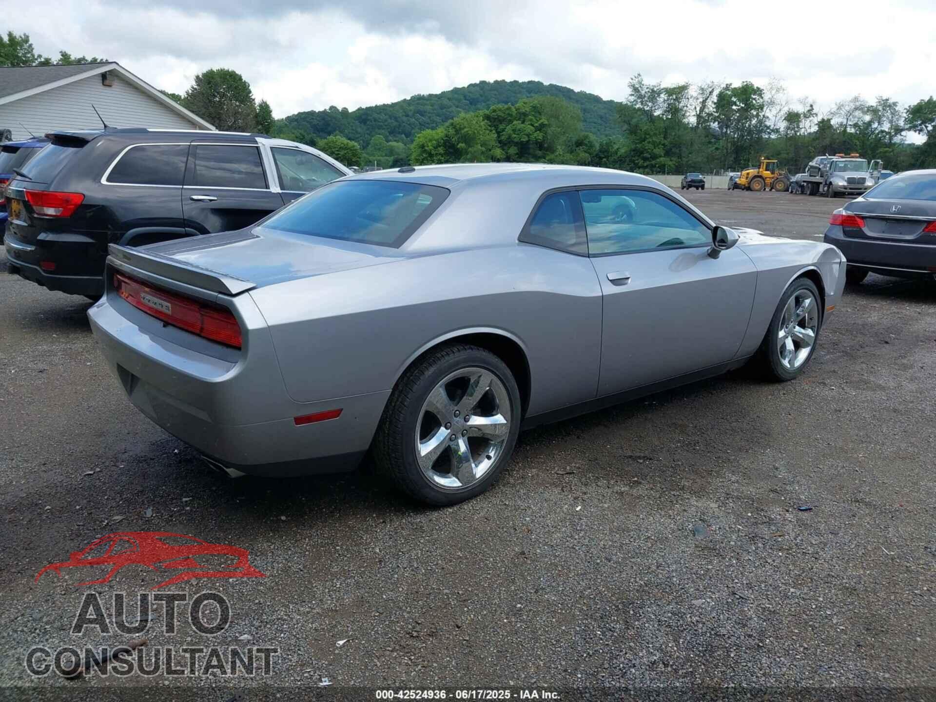 DODGE CHALLENGER 2013 - 2C3CDYBT3DH695202