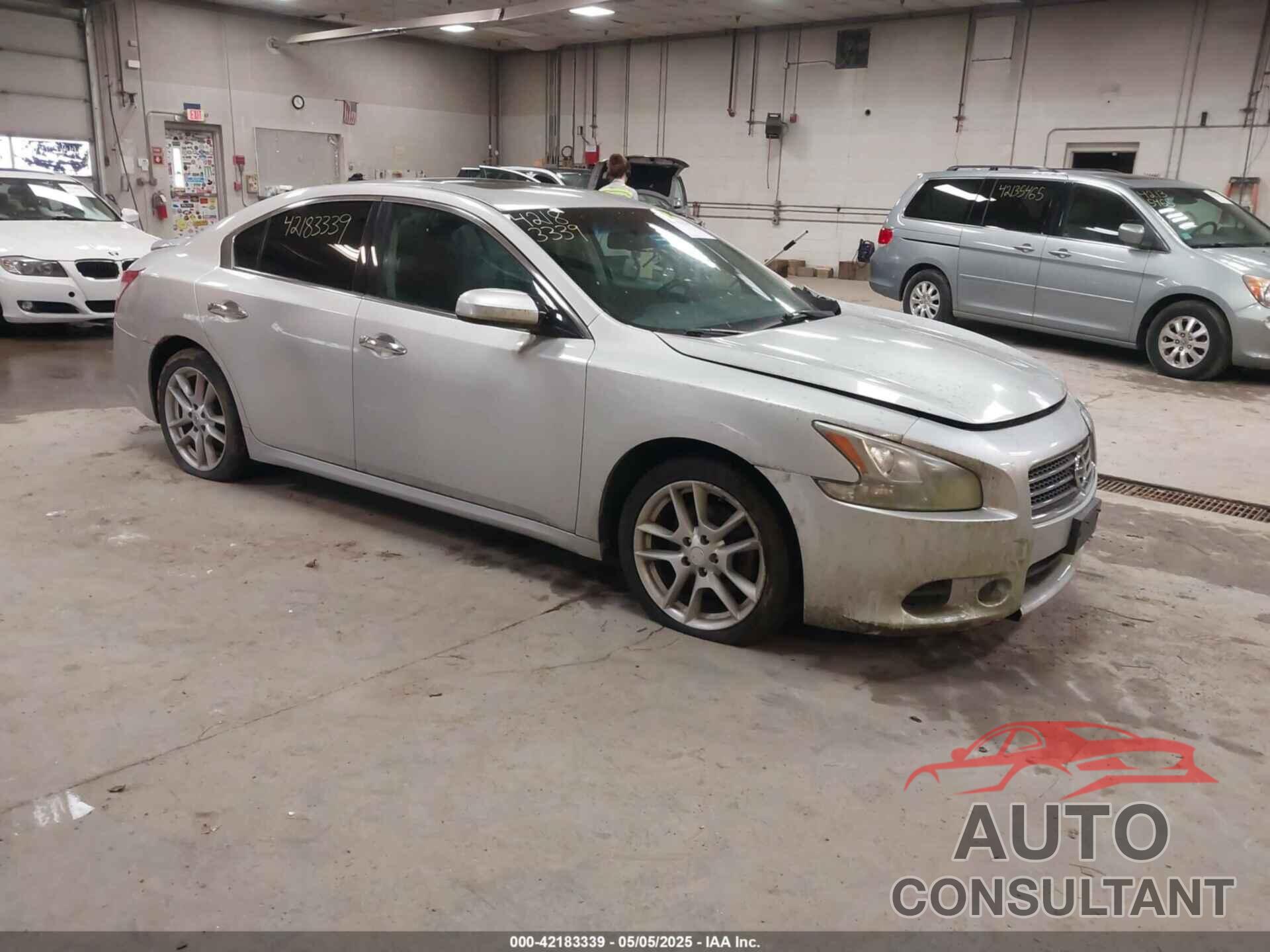 NISSAN MAXIMA 2011 - 1N4AA5AP4BC802777