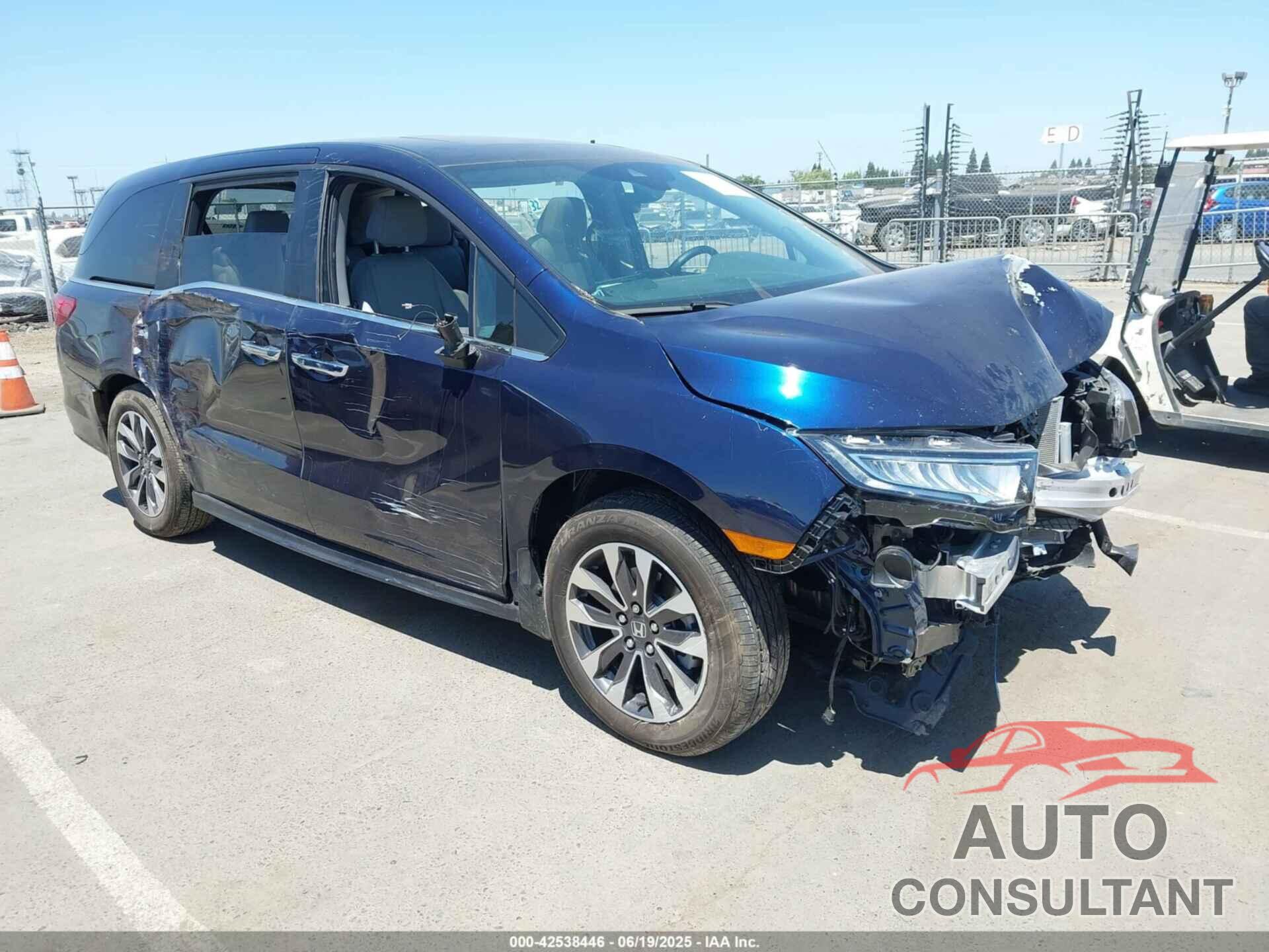 HONDA ODYSSEY 2024 - 5FNRL6H65RB066746