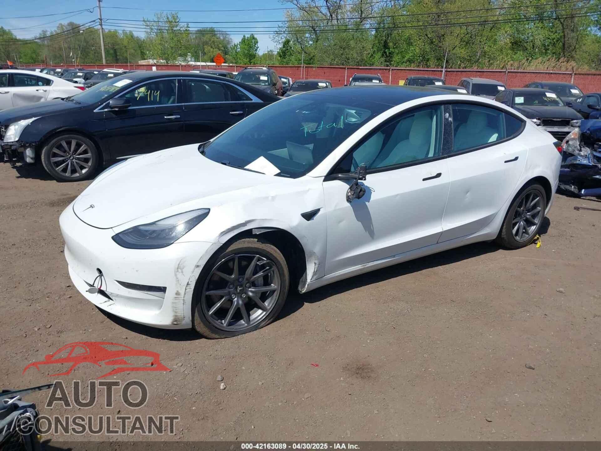 TESLA MODEL 3 2019 - 5YJ3E1EB3KF450602