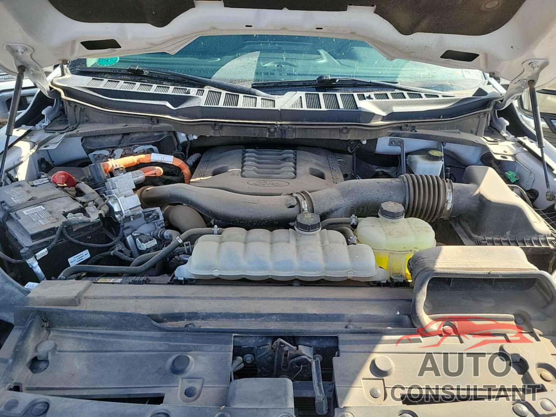 FORD F150 2022 - 1FTFW1ED9NFB83400