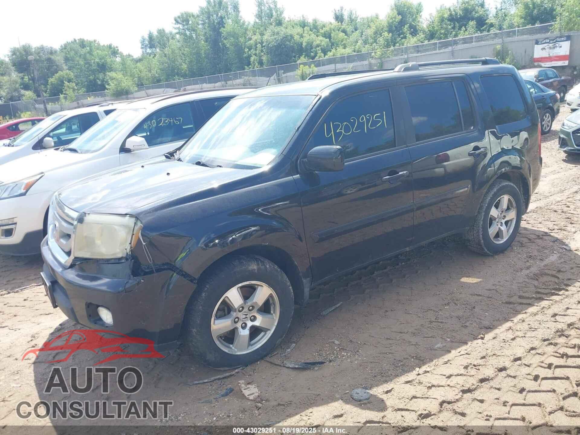 HONDA PILOT 2011 - 5FNYF4H46BB057923