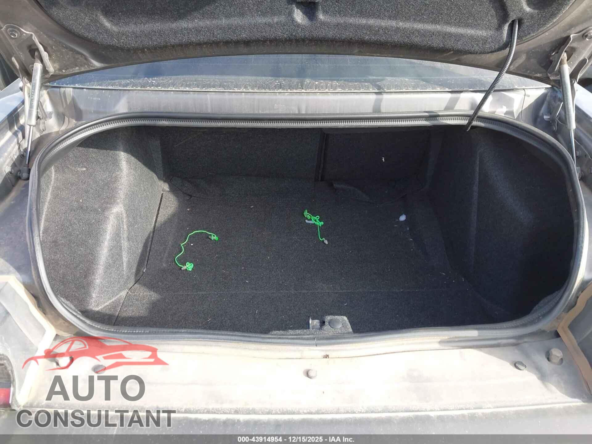 DODGE CHALLENGER 2019 - 2C3CDZAG9KH671929
