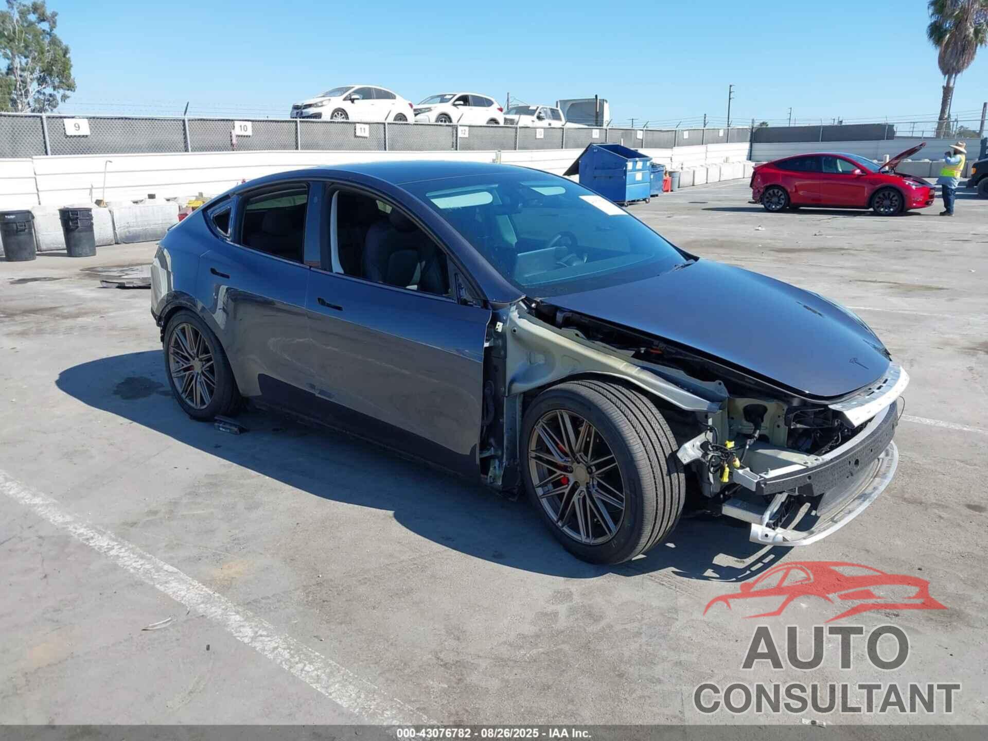 TESLA MODEL Y 2022 - 7SAYGDEF5NF404605