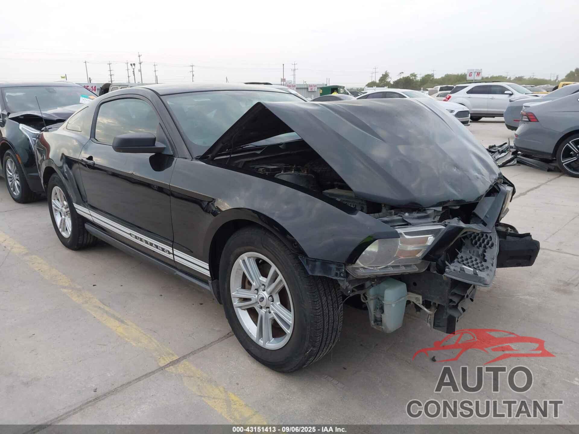 FORD MUSTANG 2012 - 1ZVBP8AM3C5285494