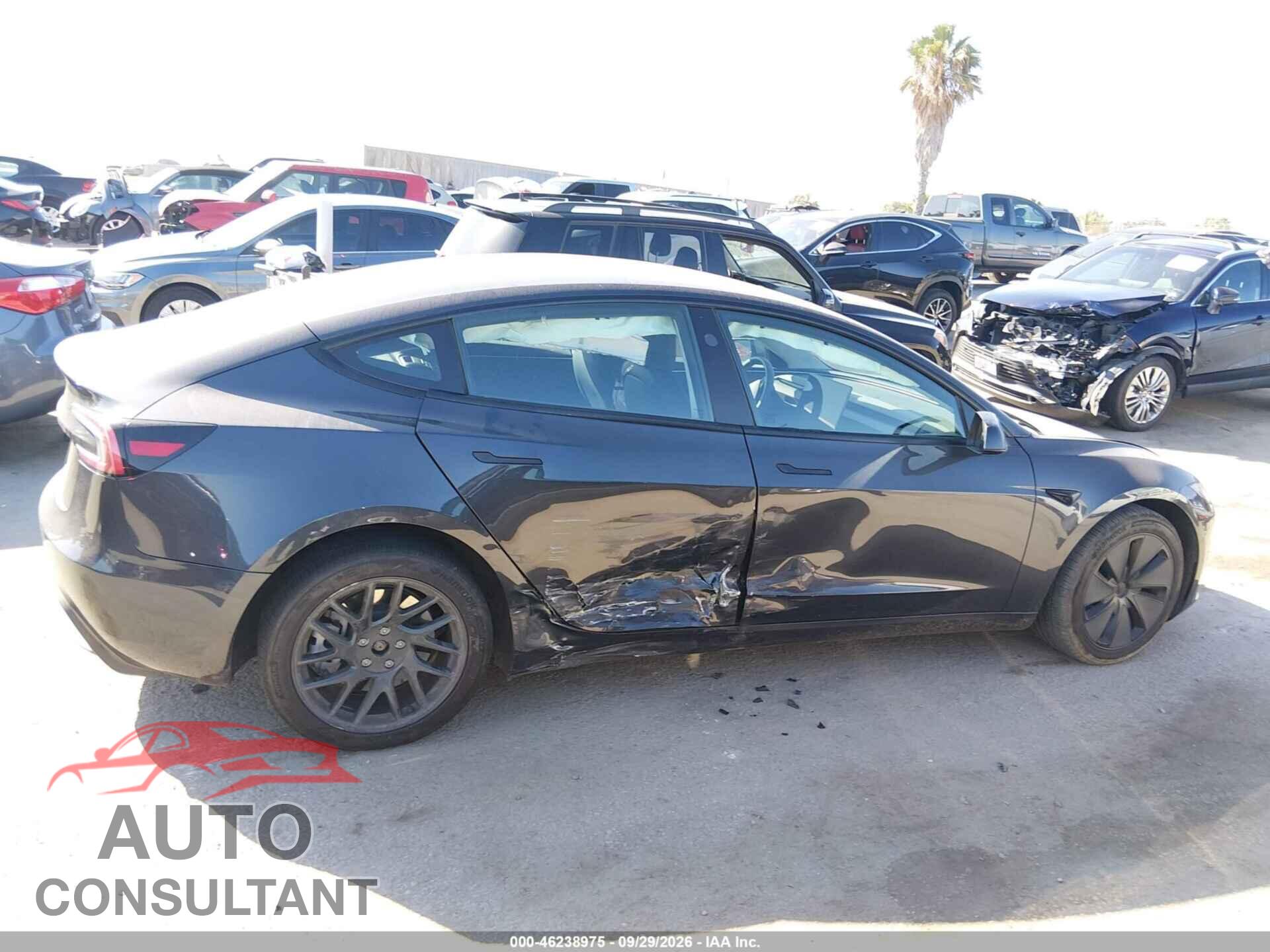 TESLA MODEL 3 2025 - 5YJ3E1EA0SF875380