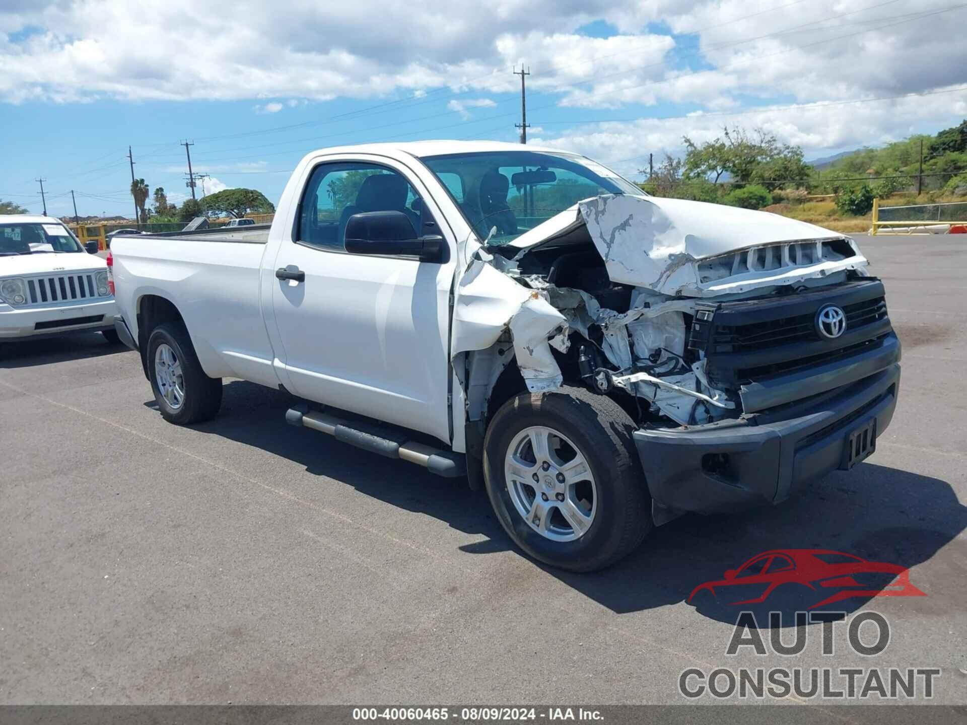 TOYOTA TUNDRA 2017 - 5TFNY5F10HX222116