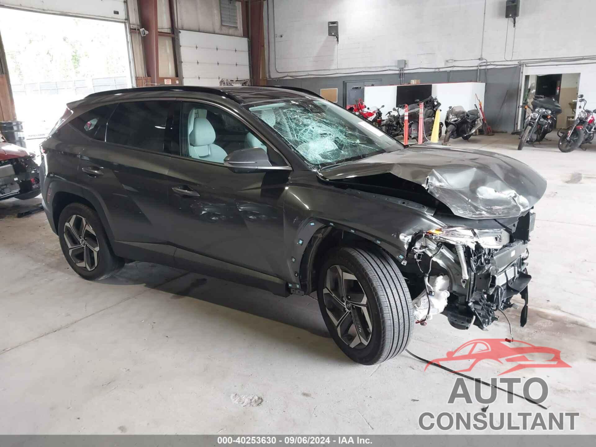 HYUNDAI TUCSON HYBRID 2024 - KM8JECD15RU136846