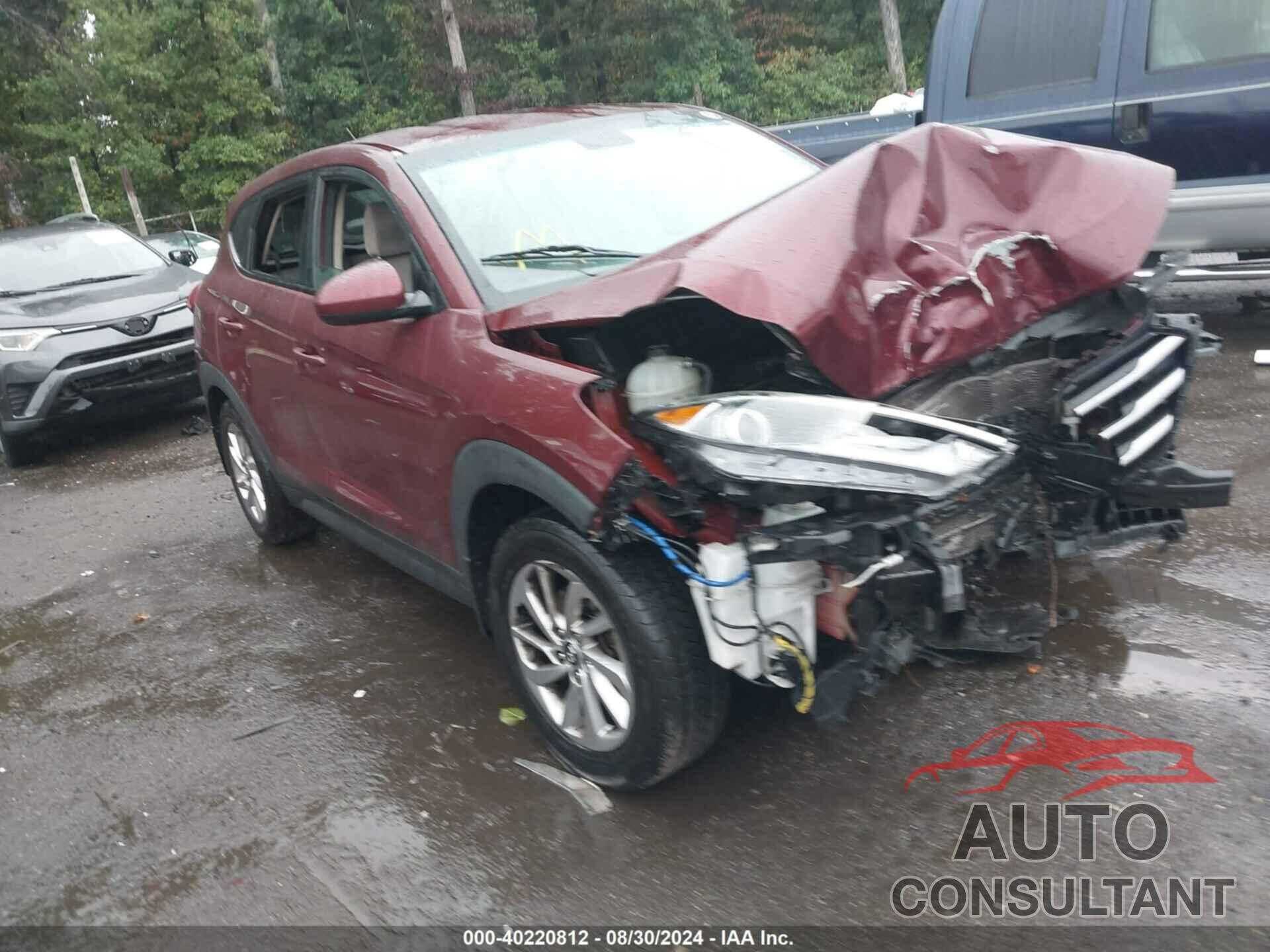 HYUNDAI TUCSON 2018 - KM8J23A44JU611334