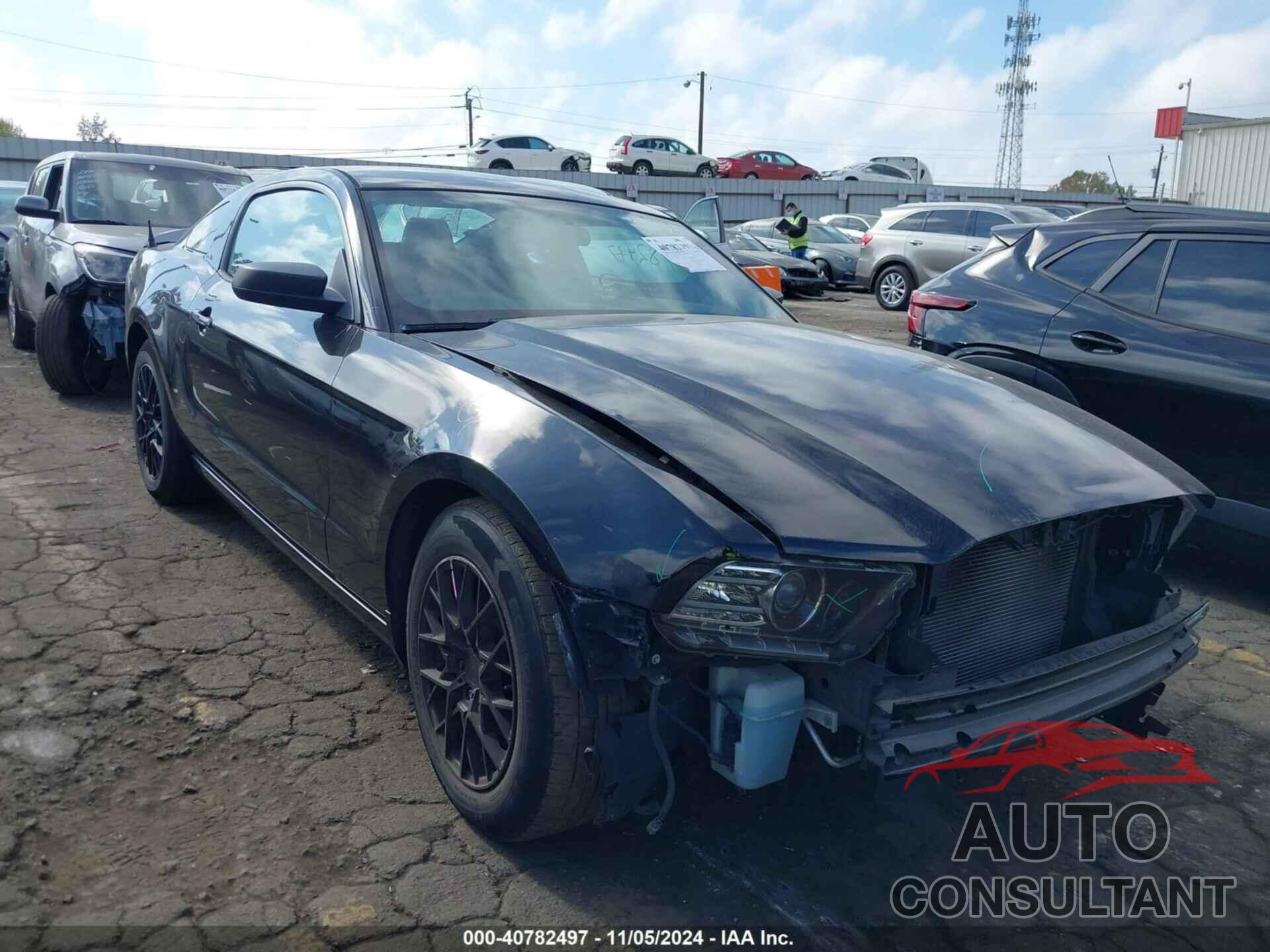 FORD MUSTANG 2014 - 1ZVBP8AM6E5306471