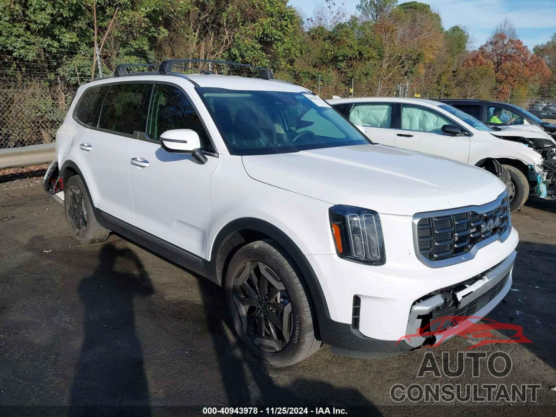 KIA TELLURIDE 2024 - 5XYP64GC1RG563103