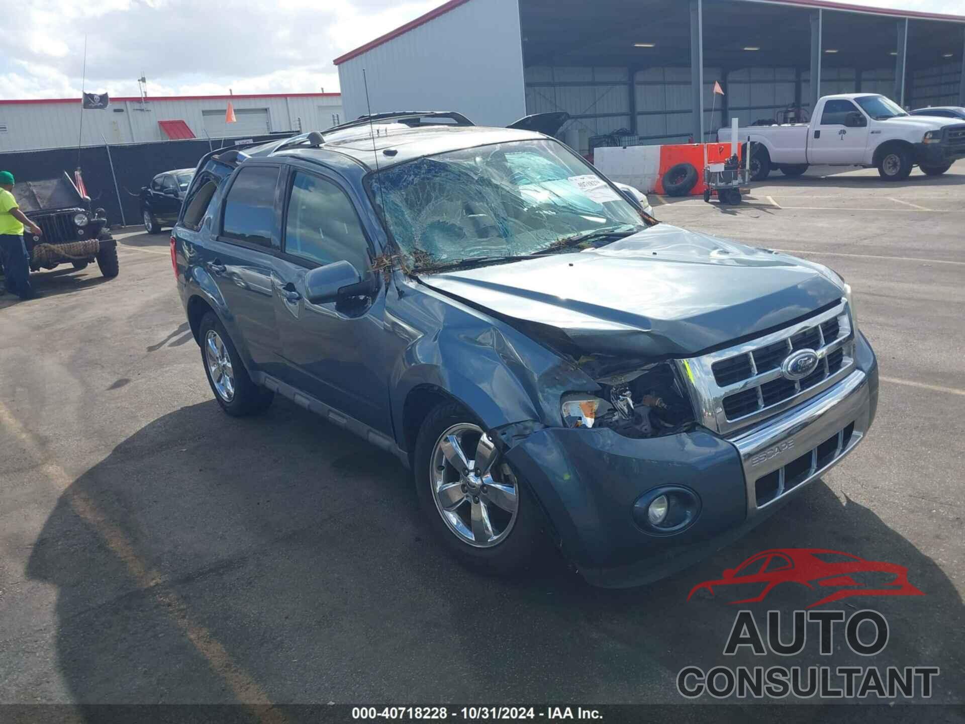 FORD ESCAPE 2010 - 1FMCU0EG9AKA53093