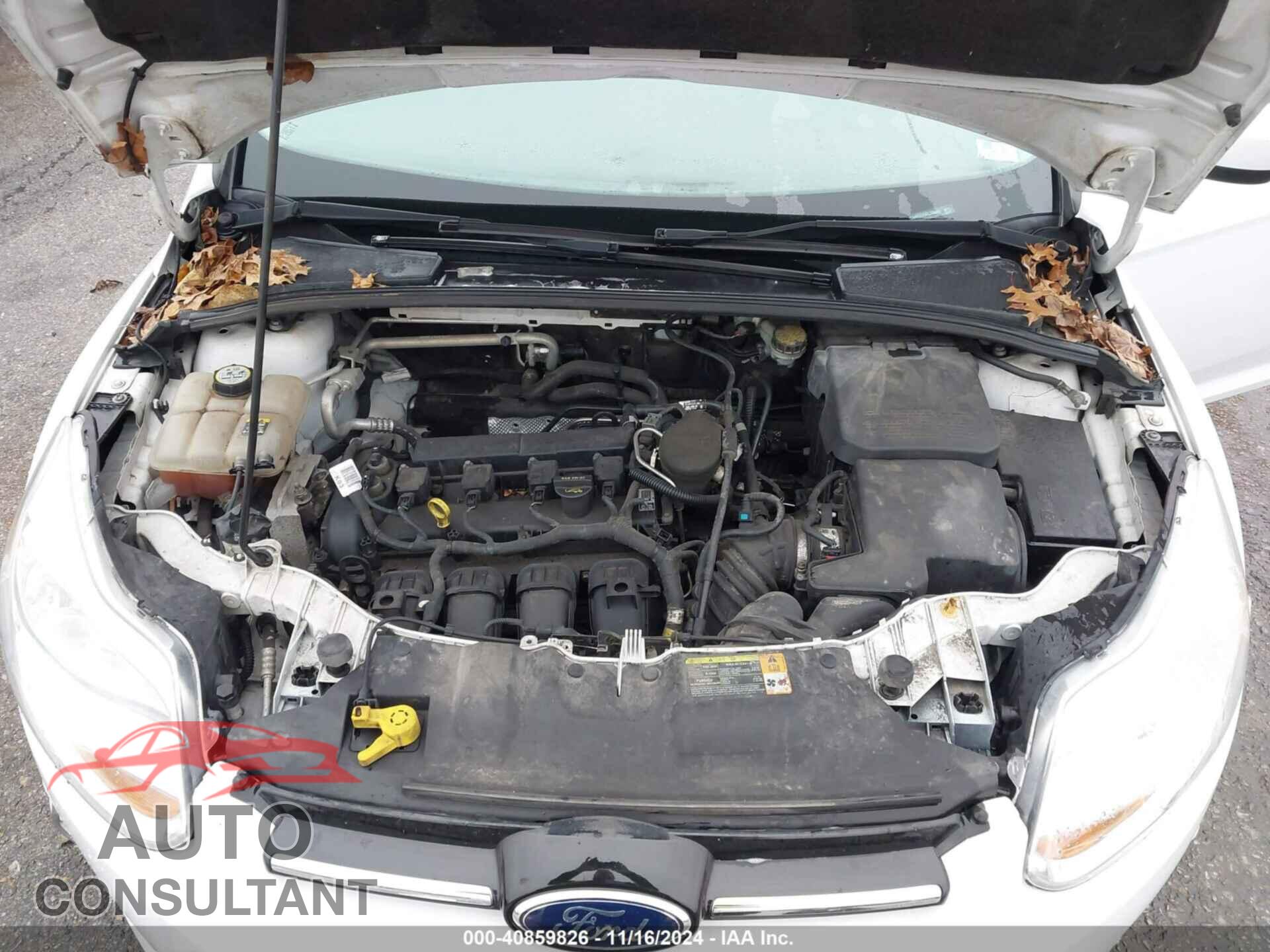 FORD FOCUS 2012 - 1FAHP3F21CL366566