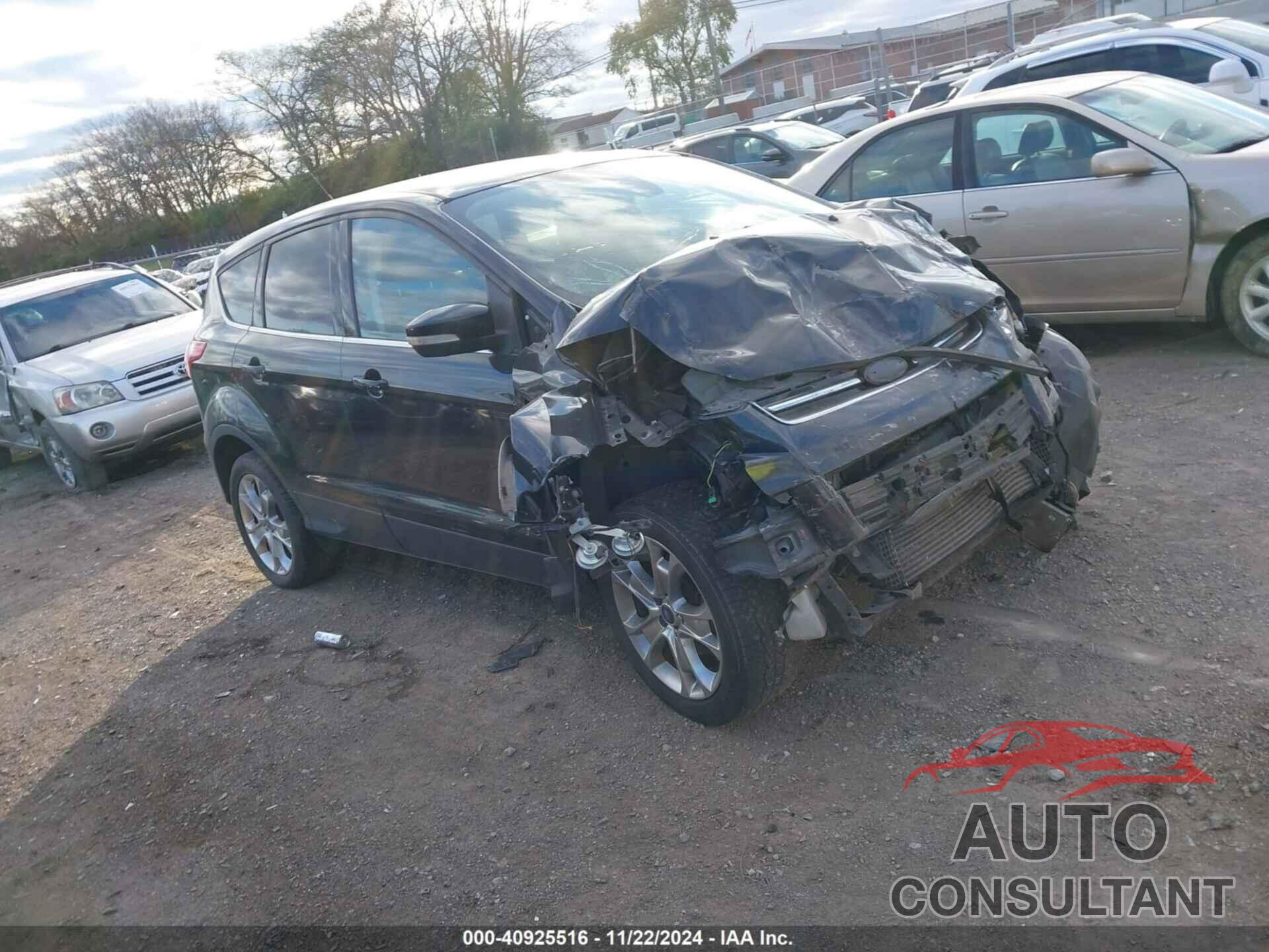 FORD ESCAPE 2013 - 1fmcu0hx0dub50896