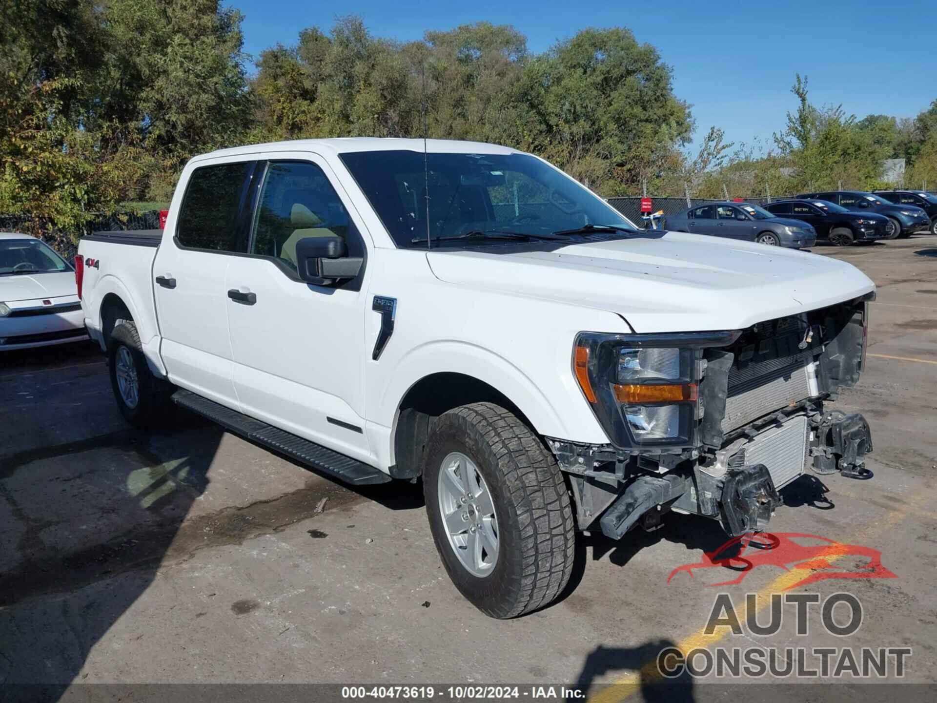 FORD F-150 2023 - 1FTFW1ED1PFA06052