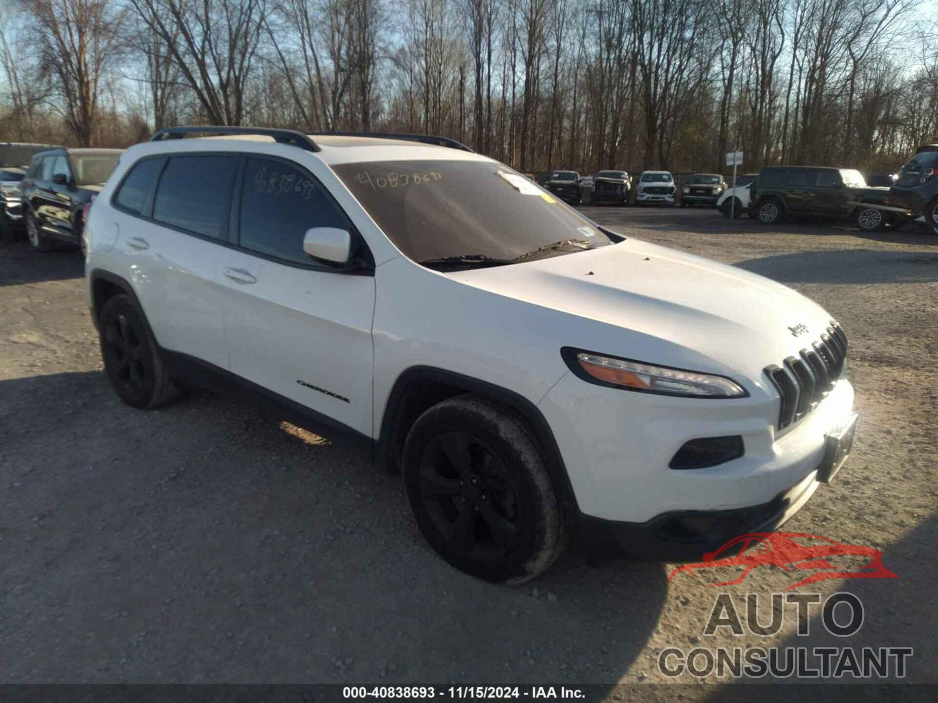 JEEP CHEROKEE 2016 - 1C4PJMCS3GW166326